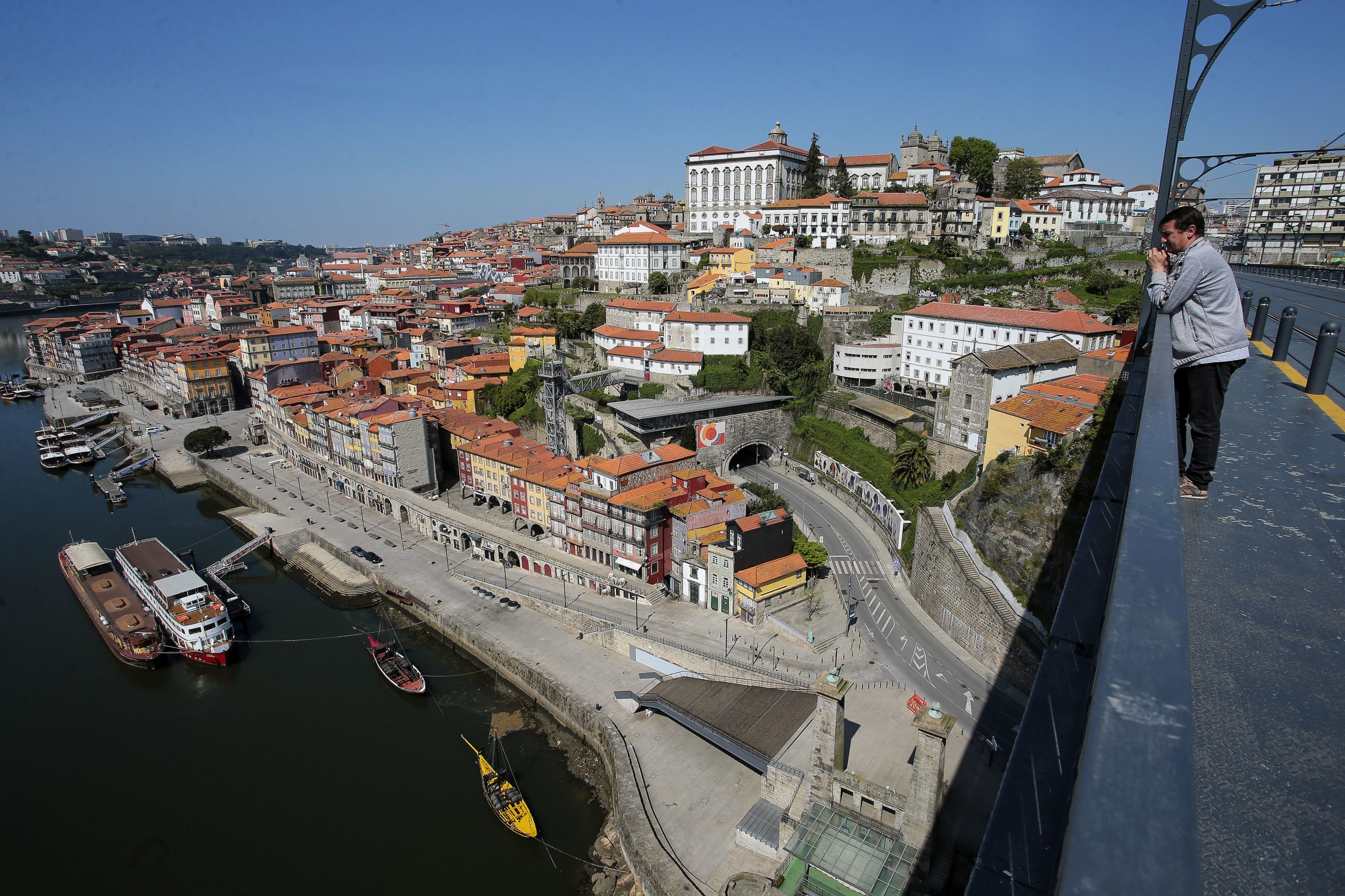 Área Metropolitana do Porto quer duplicar 100 mil árvores plantadas até 2026