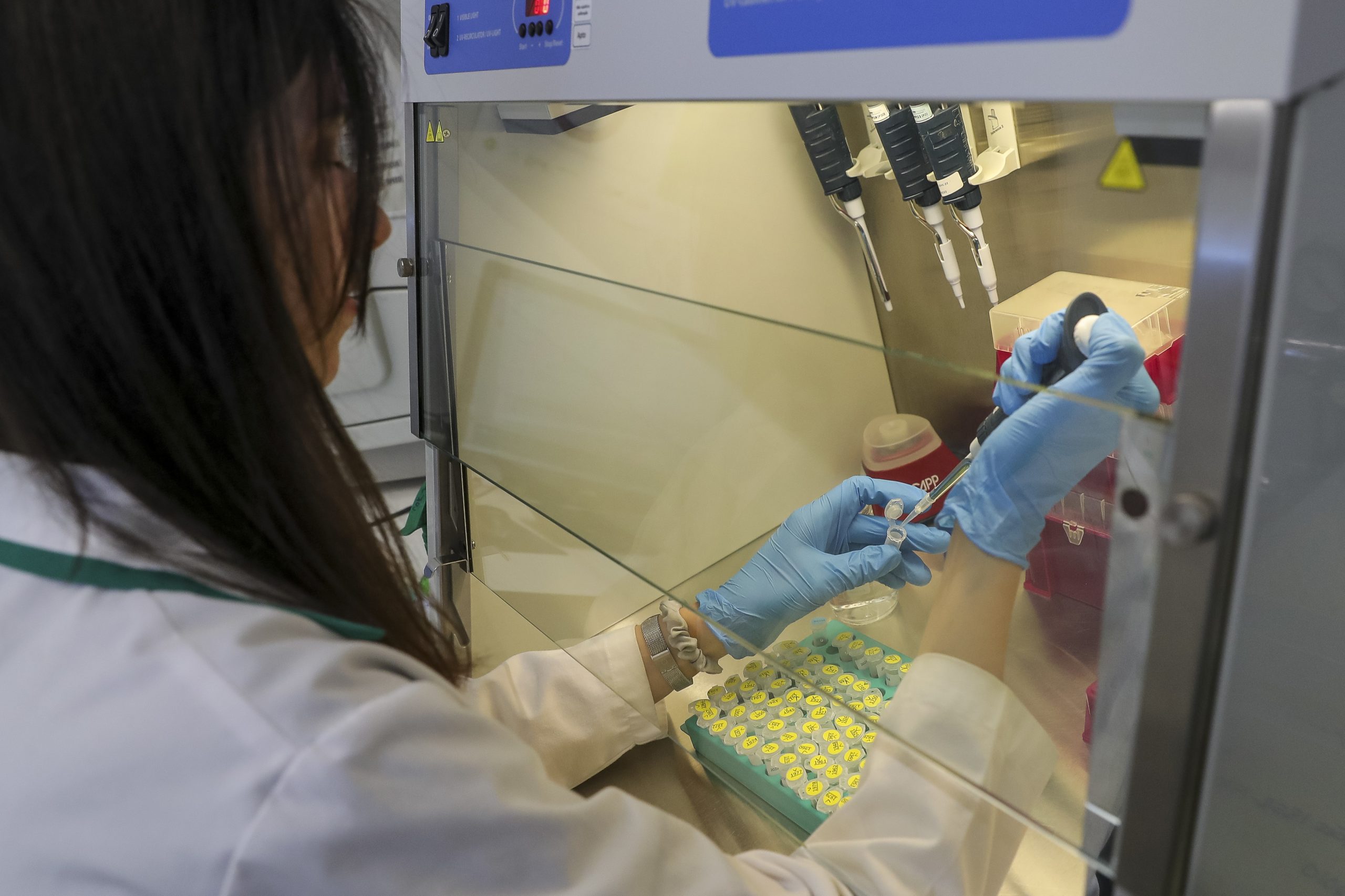 Continuam a surgir mais casos de toxinfeção alimentar na região de Leiria e alargam-se a novos concelhos