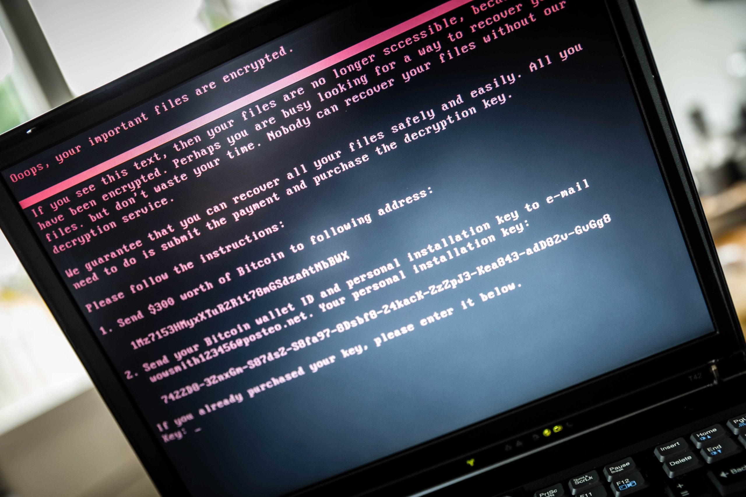 Espionagem. Trabalhadores norte-coreanos infiltram-se em empresas dos EUA com ajuda de IA e cúmplices americanos