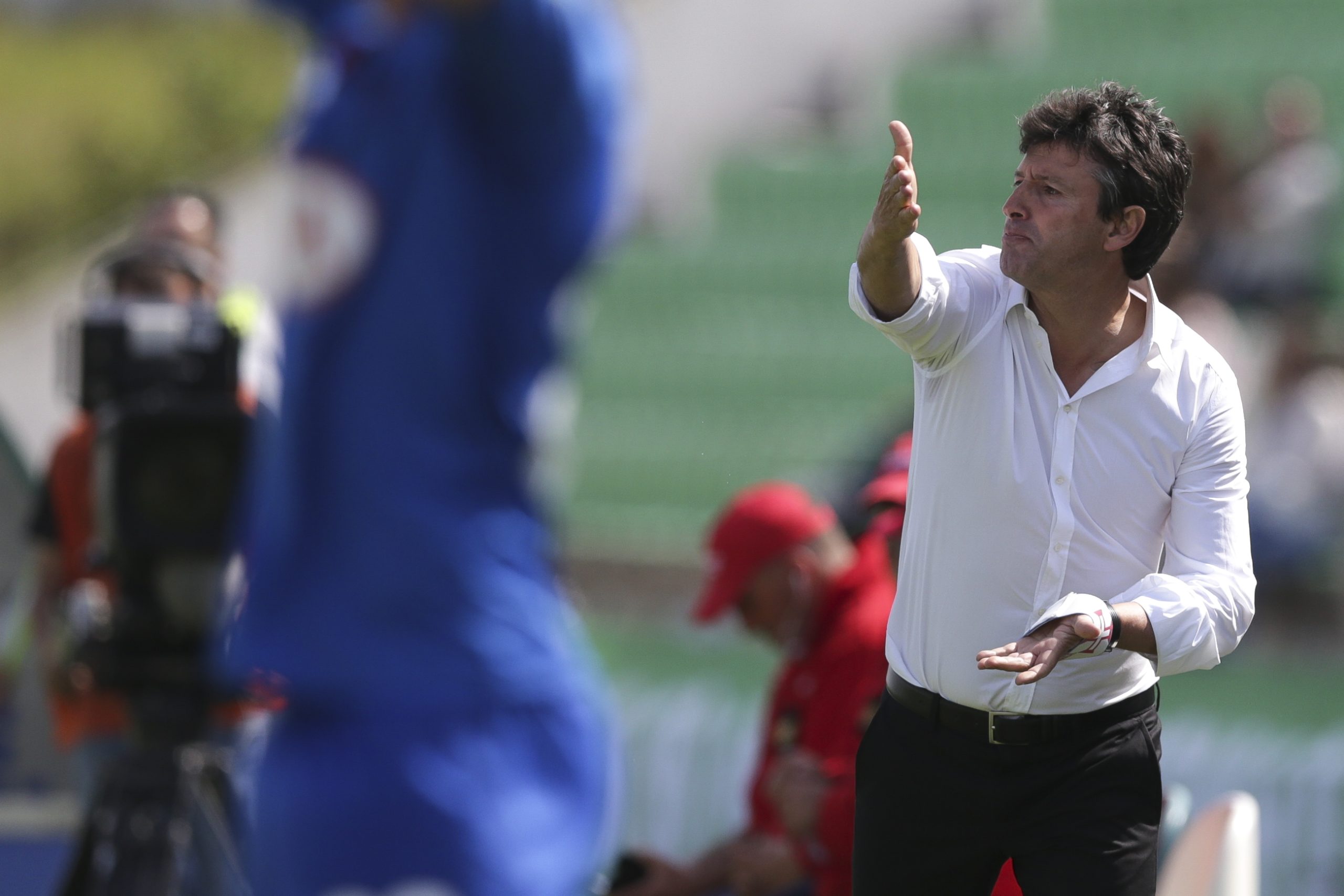 Belenenses: Domingos Paciência espera Marítimo concentrado na visita ao Restelo
