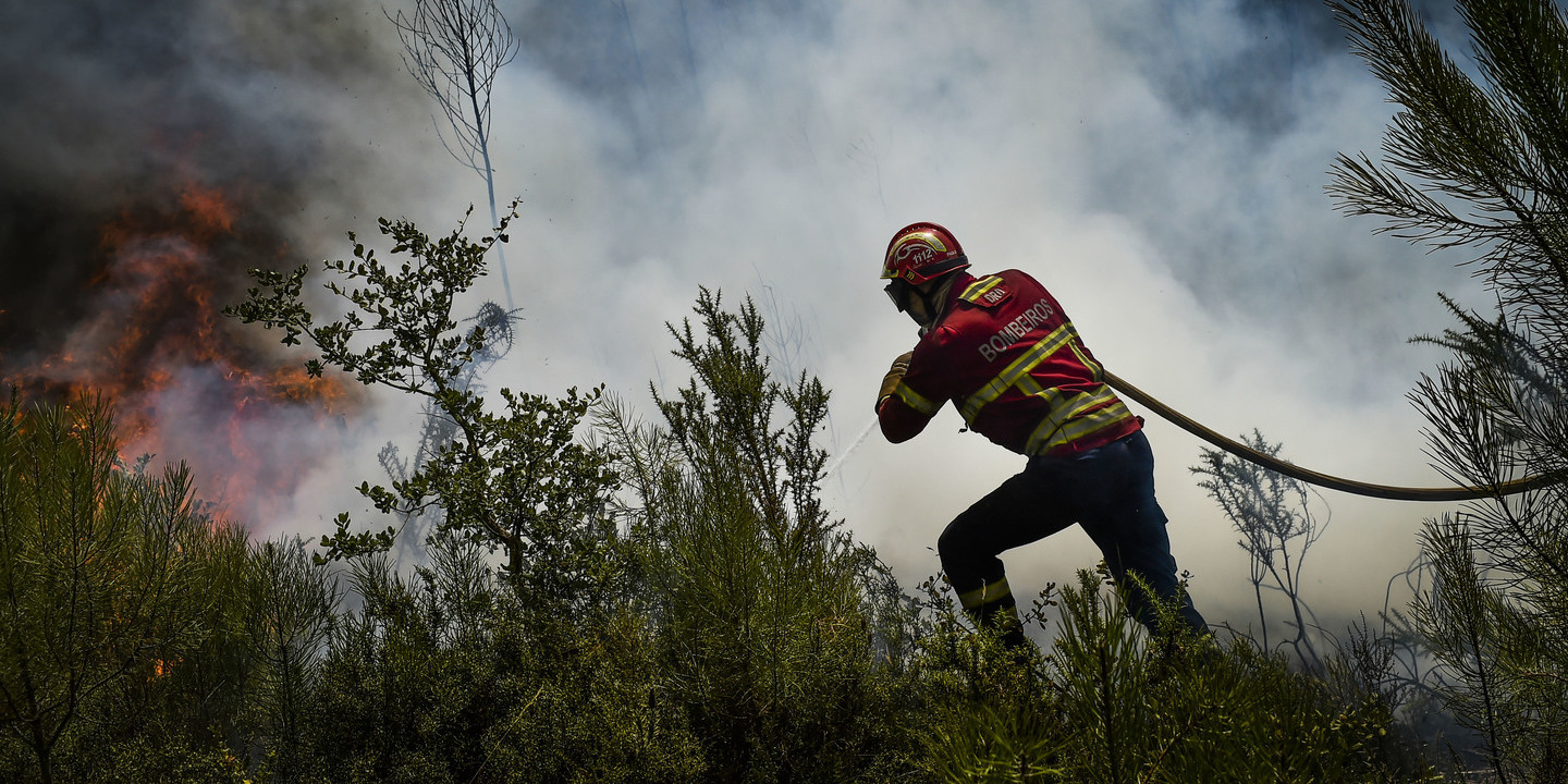 Três meios aéreos e 85 operacionais combatem fogo em Palmela