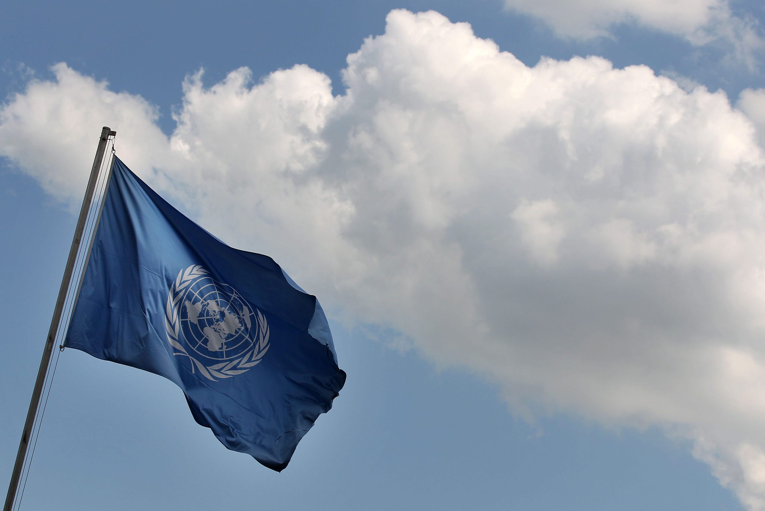 Conferência da ONU sobre alterações climáticas adiada para 2021