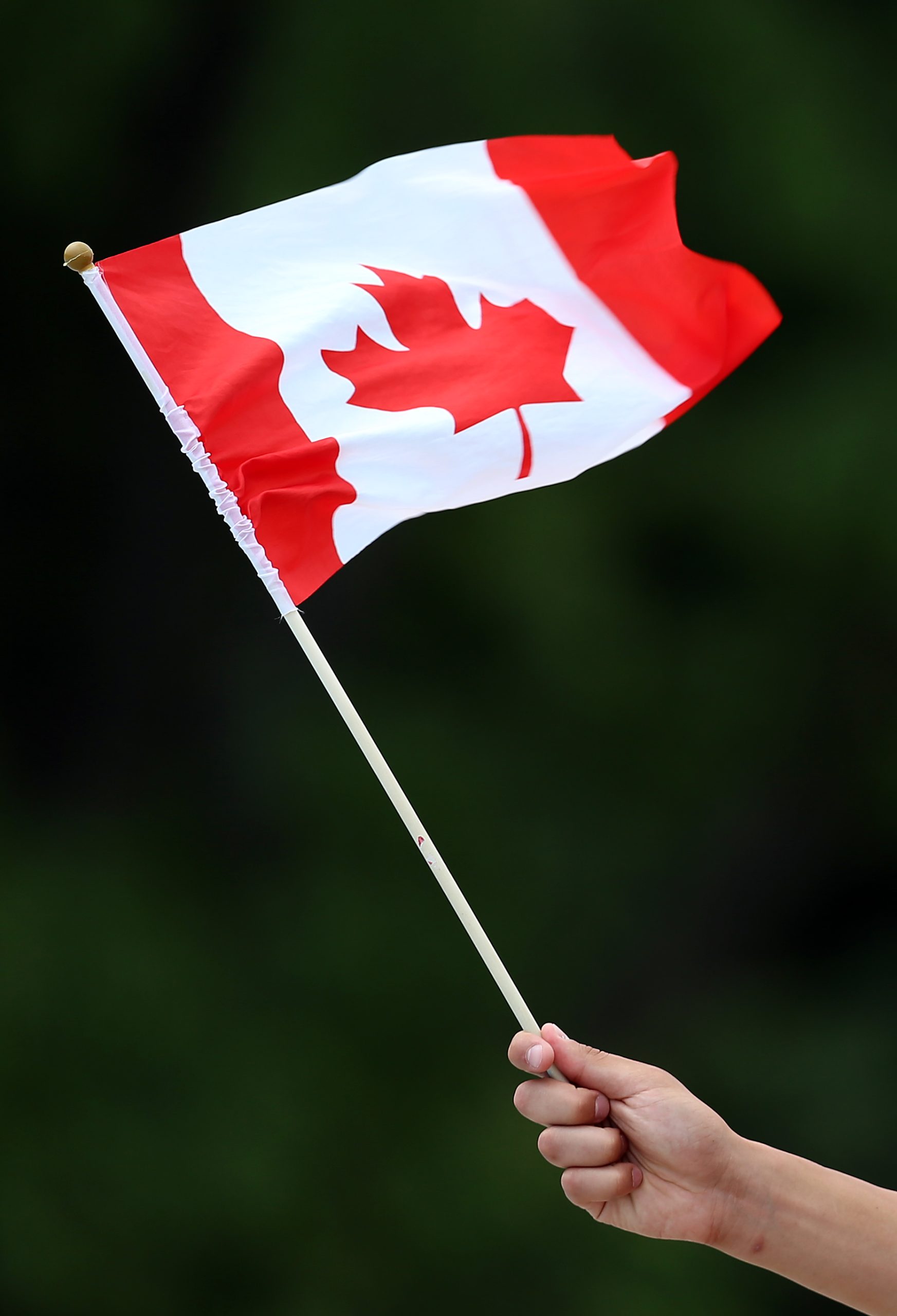 Observatório da Emigração: Canadá recebeu mais de 750 portugueses em 2017