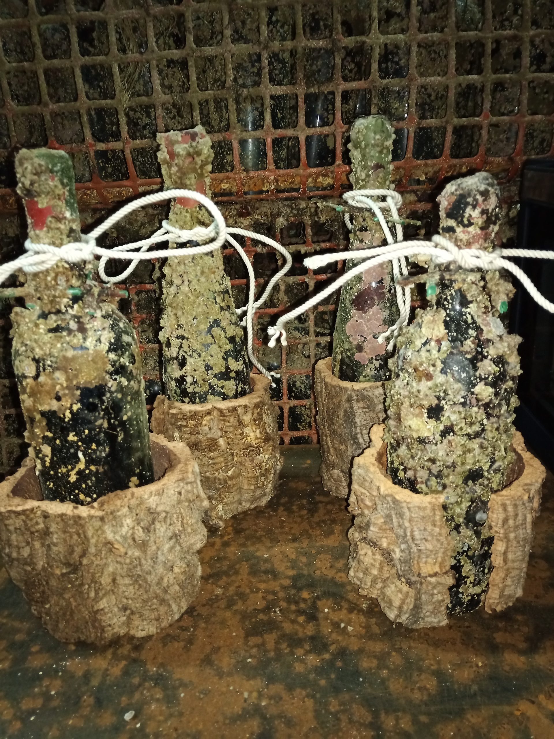 Há uma adega no fundo do mar em Sines. Valoriza os vinhos e permite enoturismo subaquático
