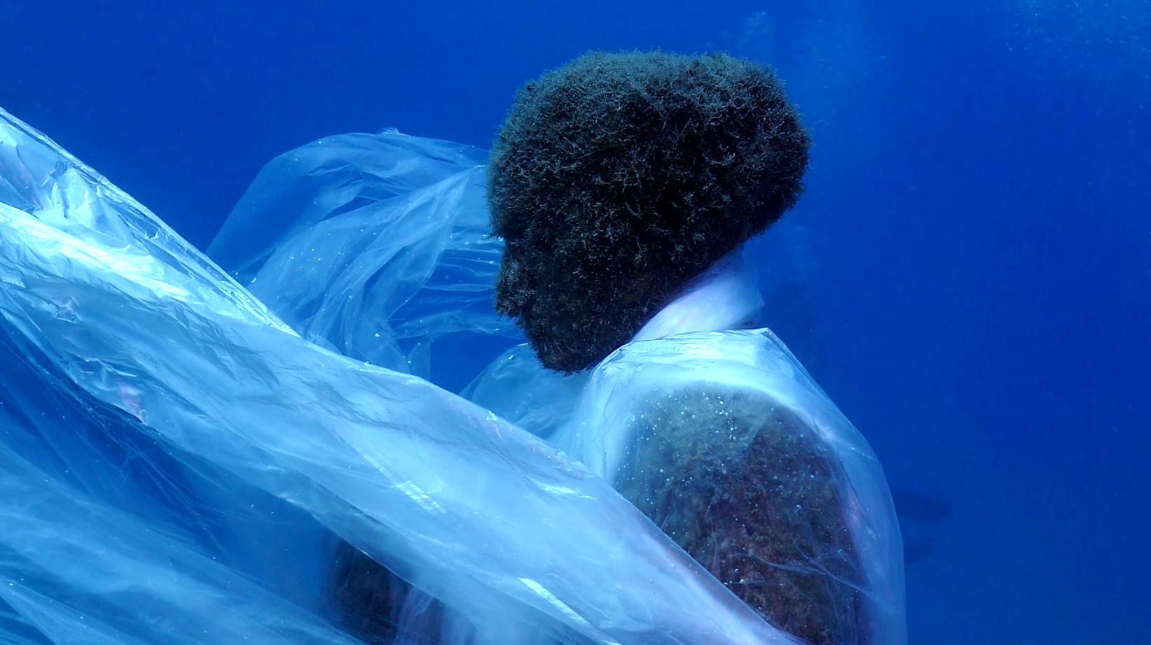 Mergulhadores do WWF envolvem com plástico esculturas humanas do museu submerso de Lanzarote