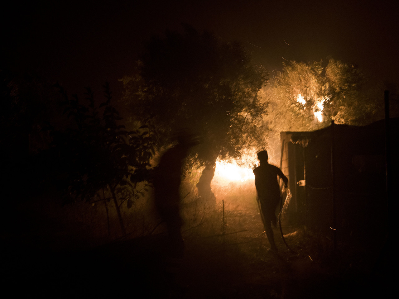Palestina ajuda Israel a combater vaga de incêndios