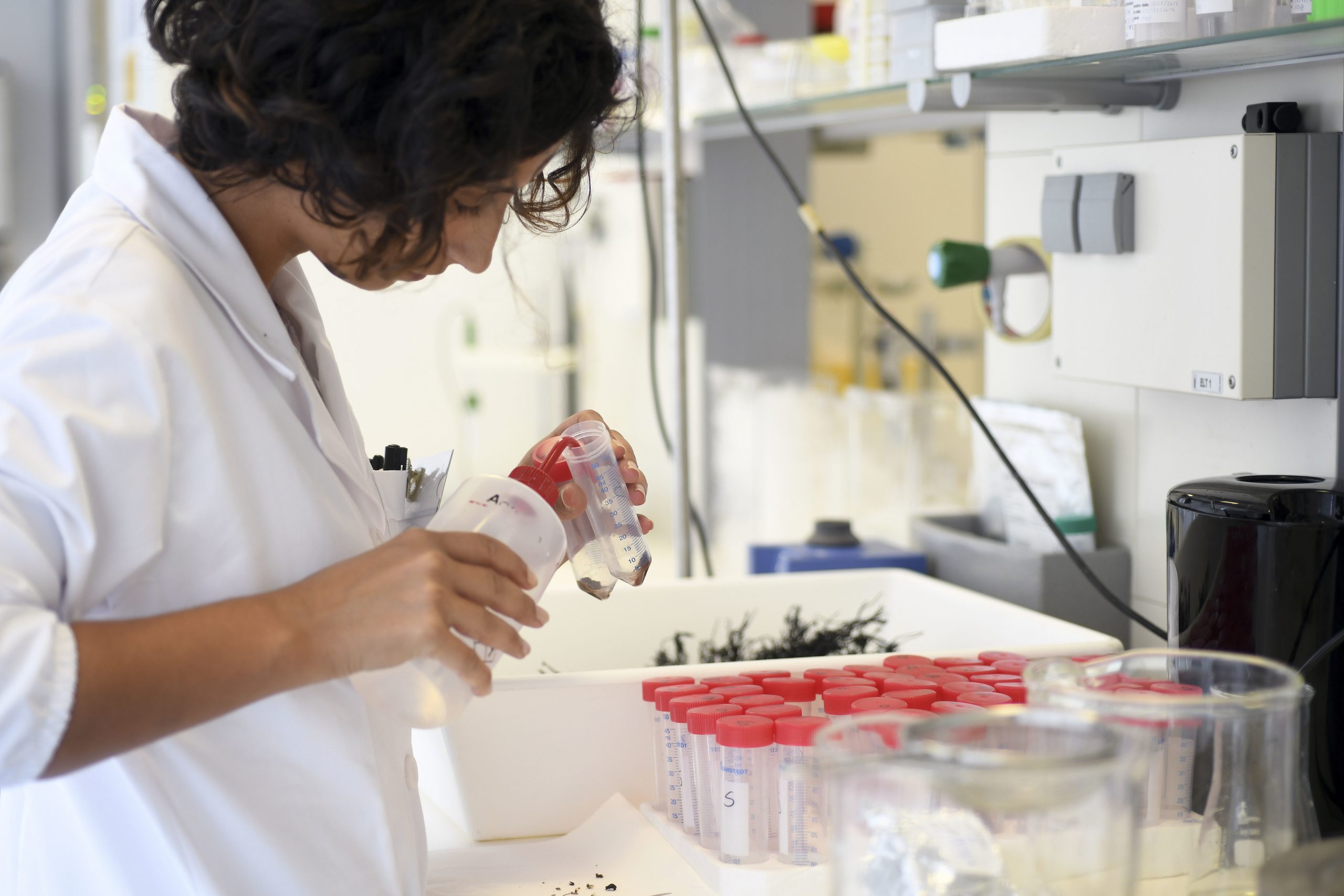 Fundação para a Ciência e Tecnologia atribui 1.350 bolsas de doutoramento no concurso de 2019