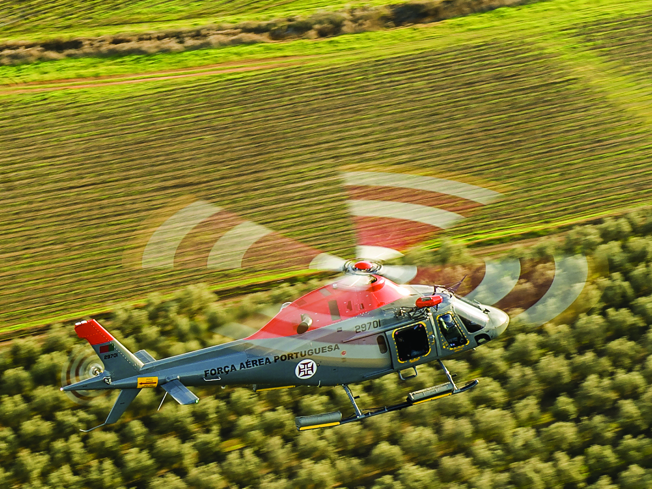 Helicóptero KOALA Helicóptero KOALA