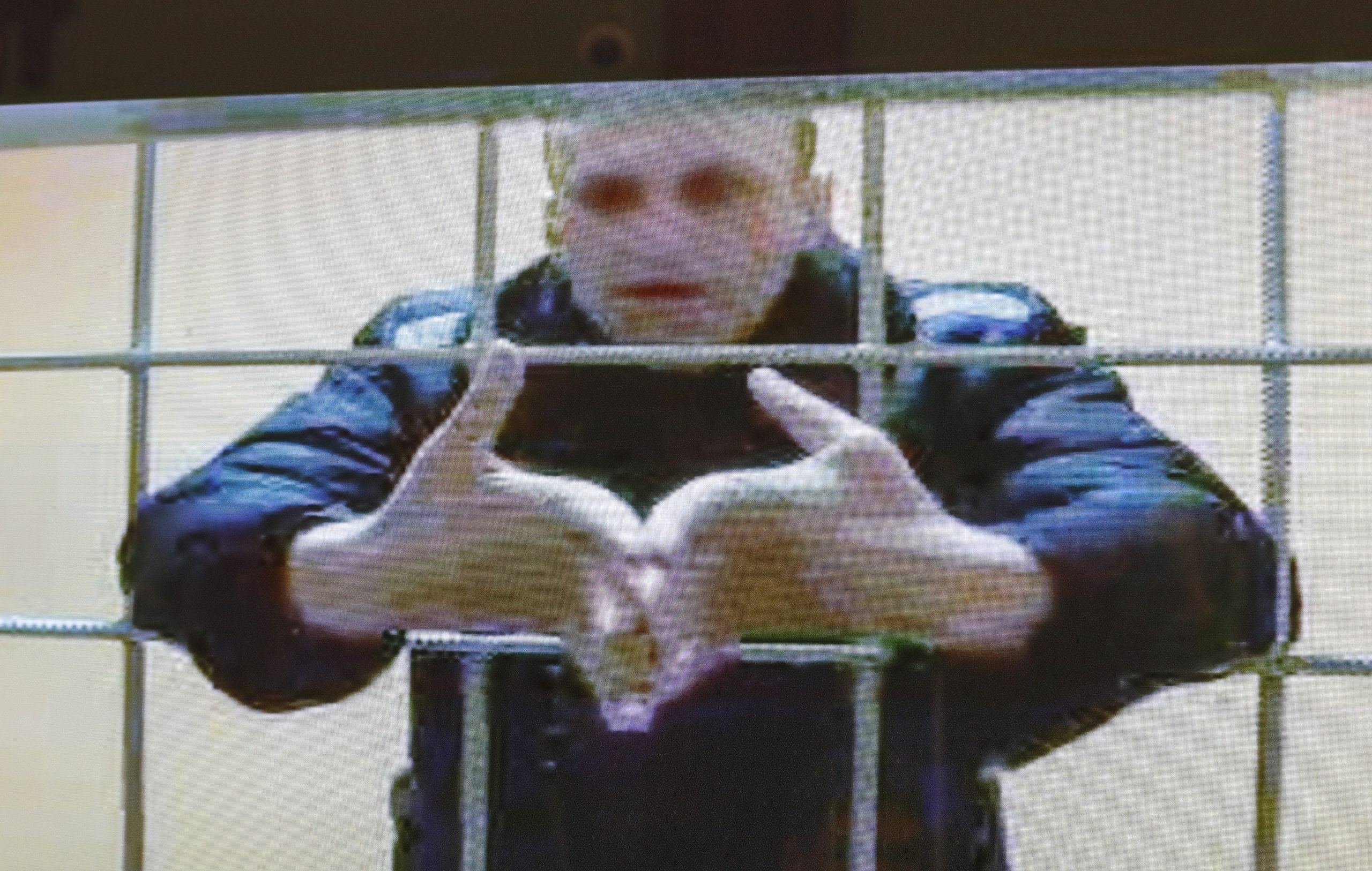 Alexei Navalny: UE pede libertação “imediata” de opositor russo no segundo aniversário do seu envenenamento