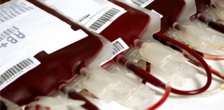 Presidente da Câmara de Gaia alerta para carência de sangue no centro hospitalar