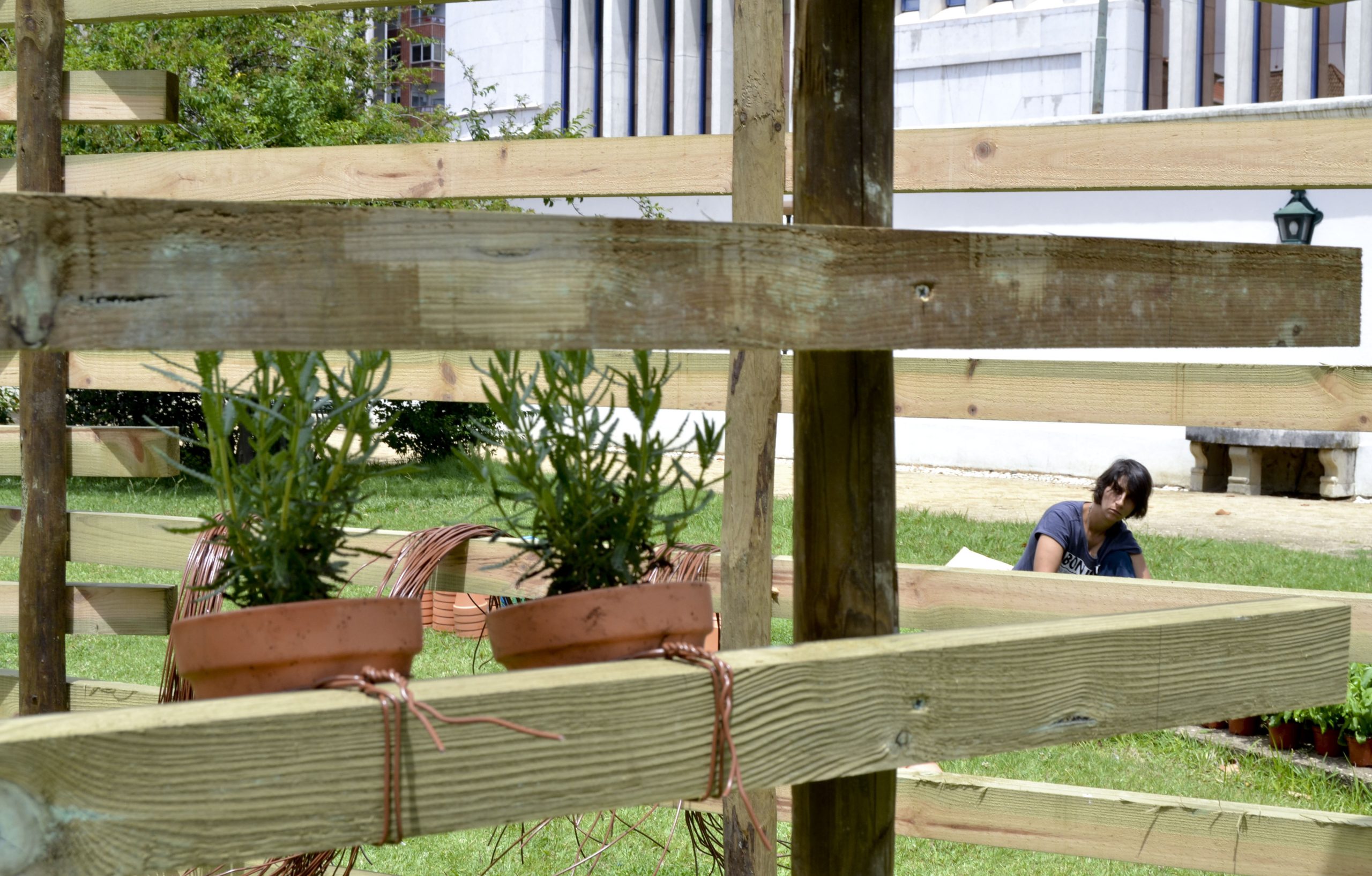 Lisboa vai distribuir quatro mil compostores a munícipes com jardim em 2018