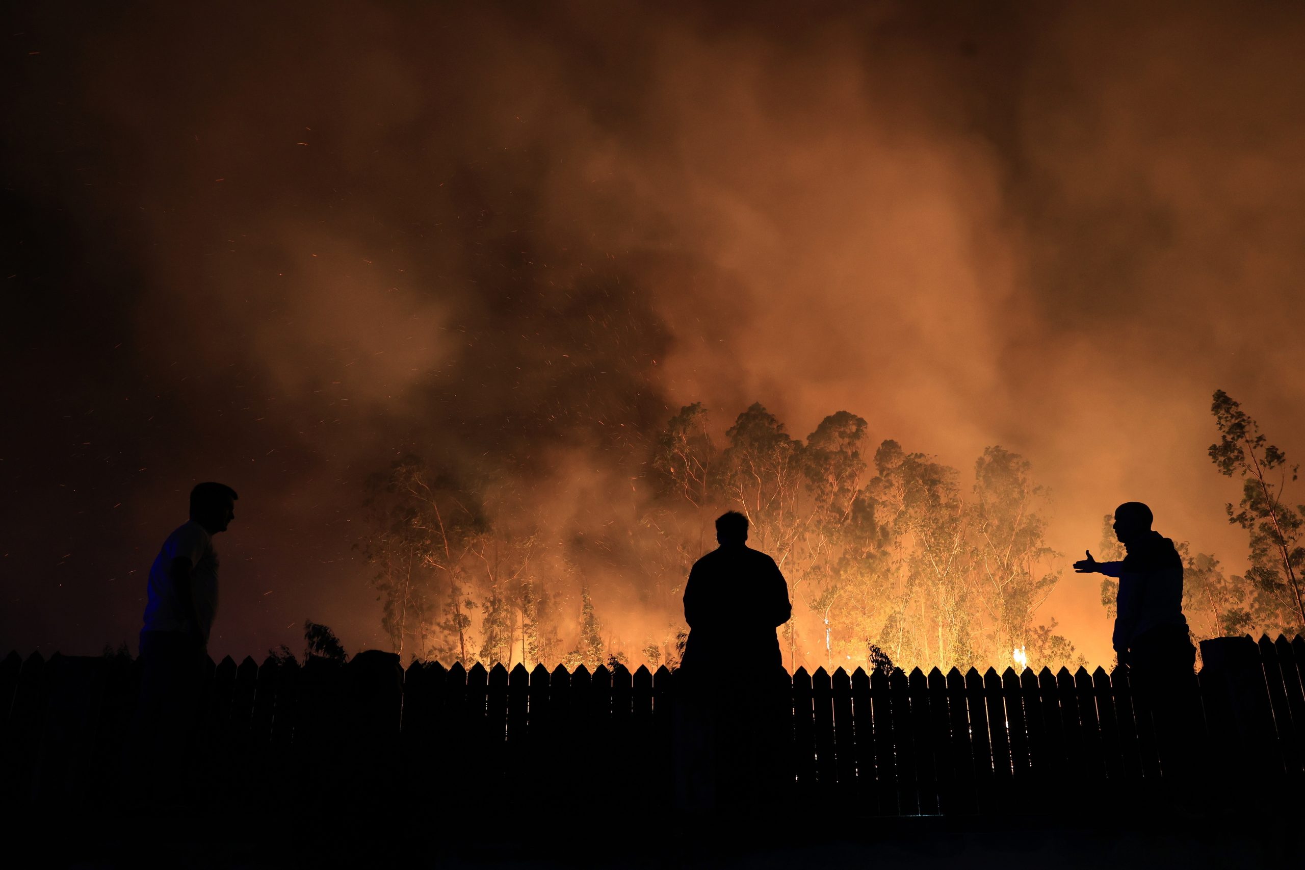 Não há fogos significativos, mas 40 concelhos estão em perigo máximo