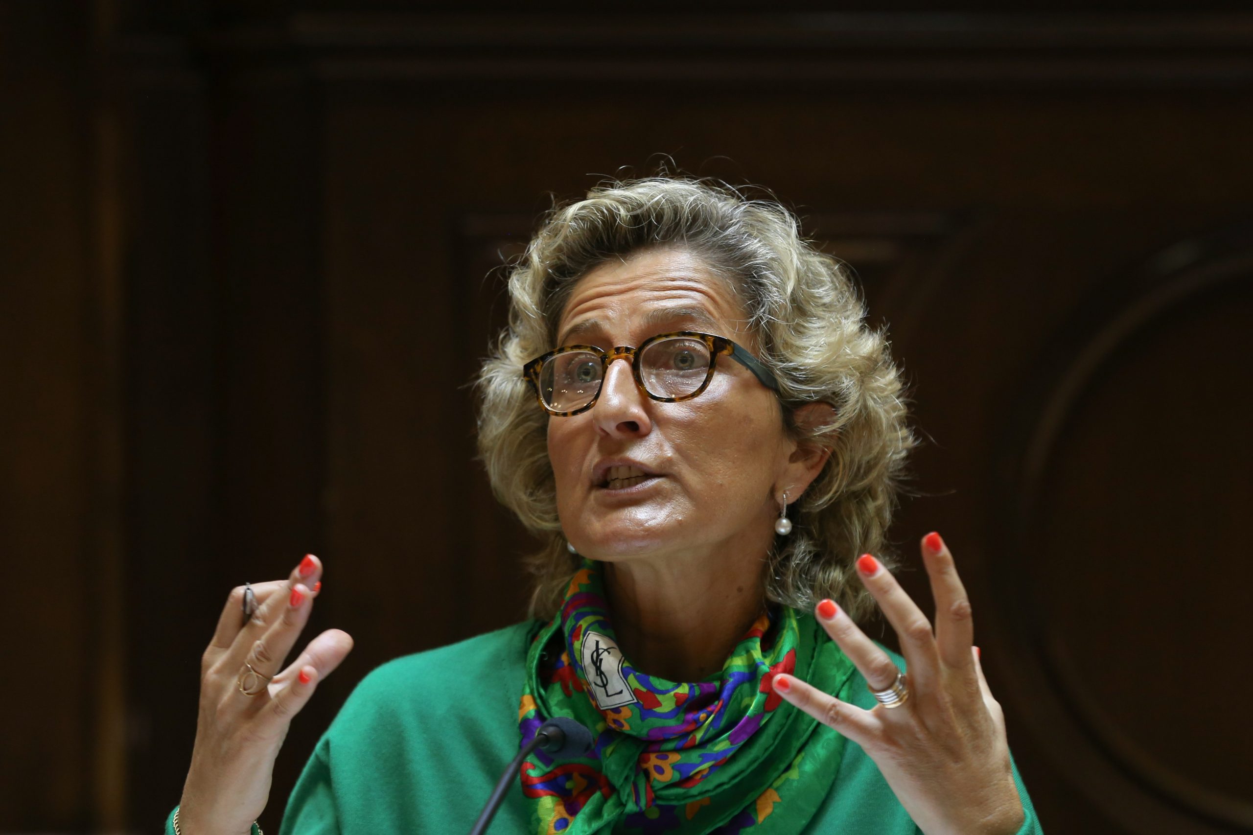 Ana Abrunhosa diz que regionalização não está “infelizmente” no Programa do Governo