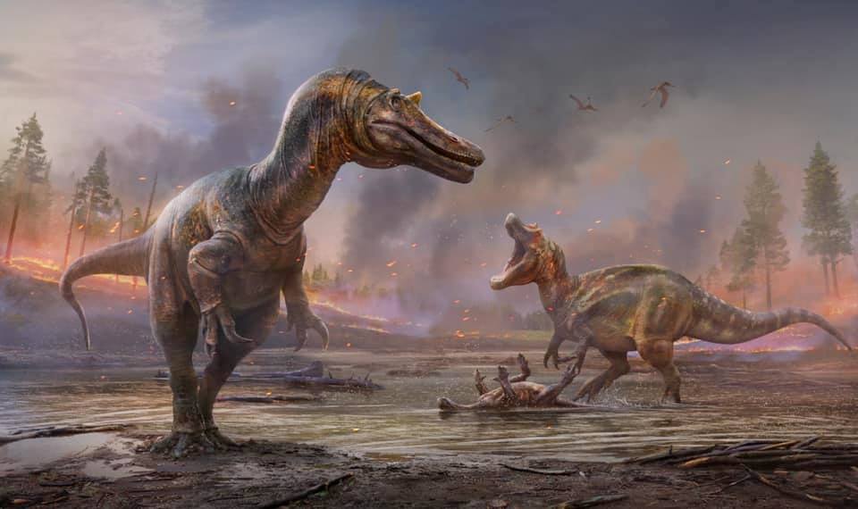 Identificadas duas novas espécies de dinossauros. Caçavam na terra e água e tinham 9 metros de comprimento