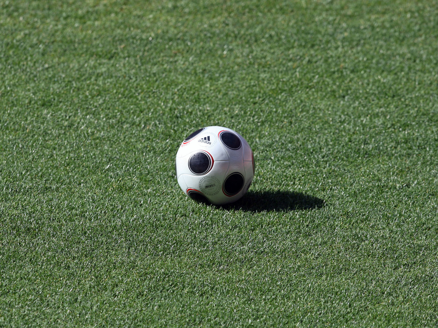 Cova da Piedade vai impugnar descida ao Campeonato de Portugal