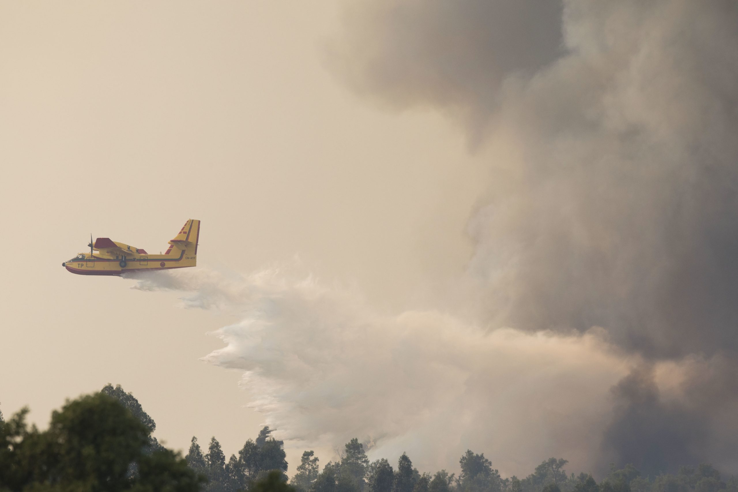 Incêndios: Mais de 150 operacionais e seis meios aéreos combatem chamas em Portalegre