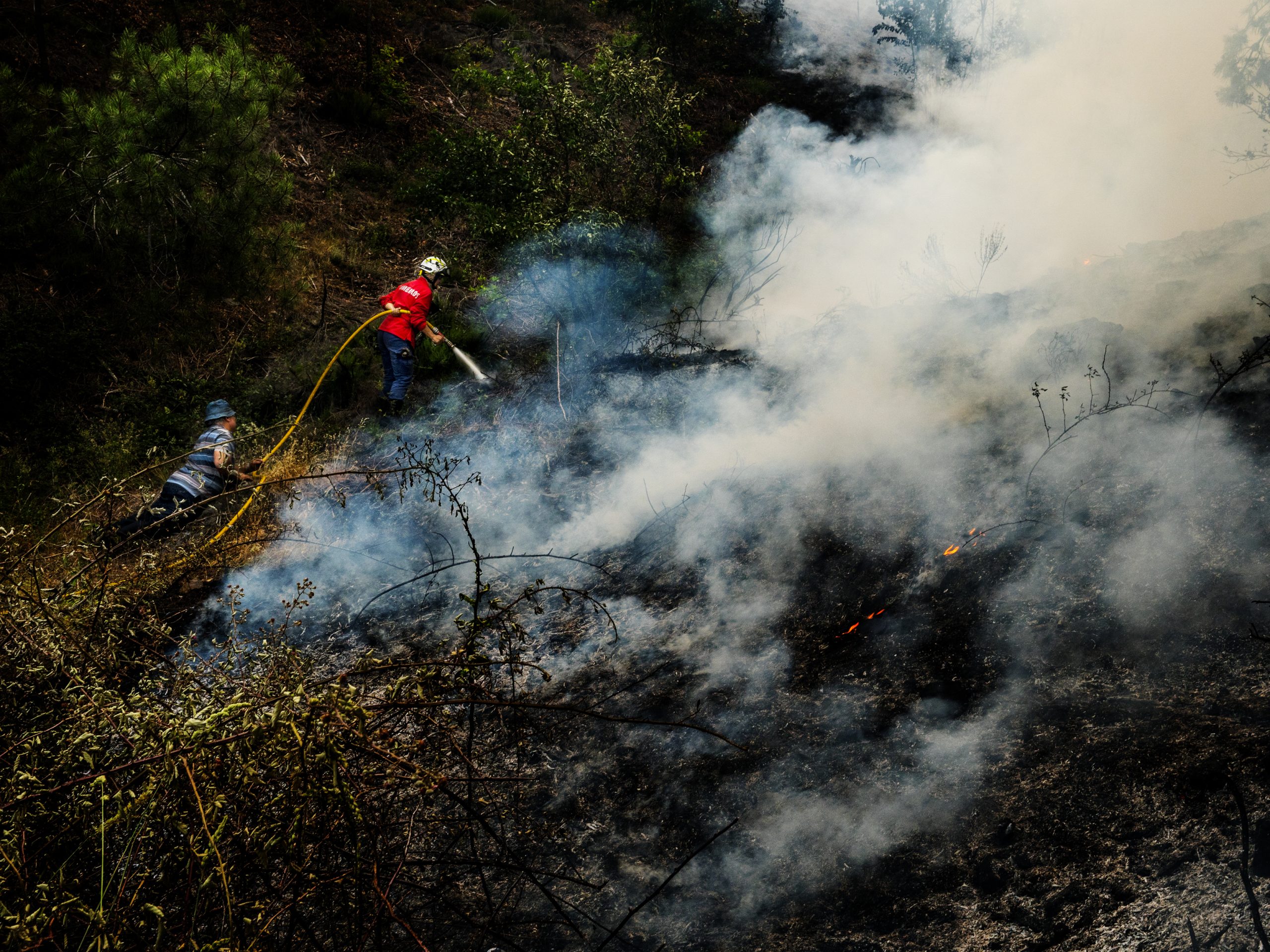 Viana do Castelo investe 850 mil euros para prevenir fogos