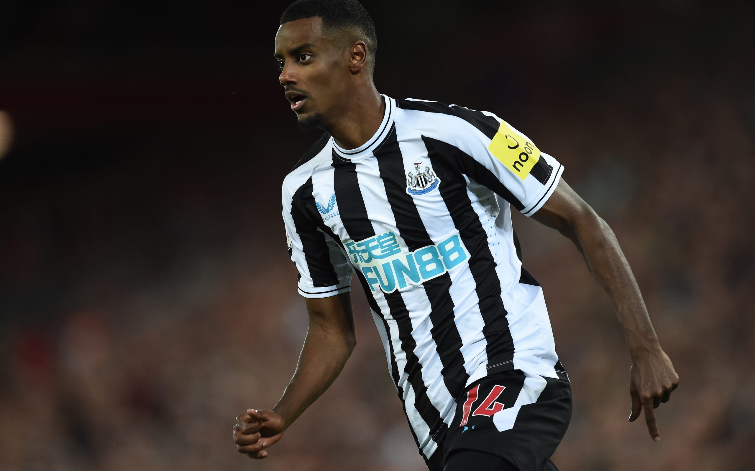 Newcastle regressa aos triunfos na Liga inglesa à ‘custa’ do Wolverhampton