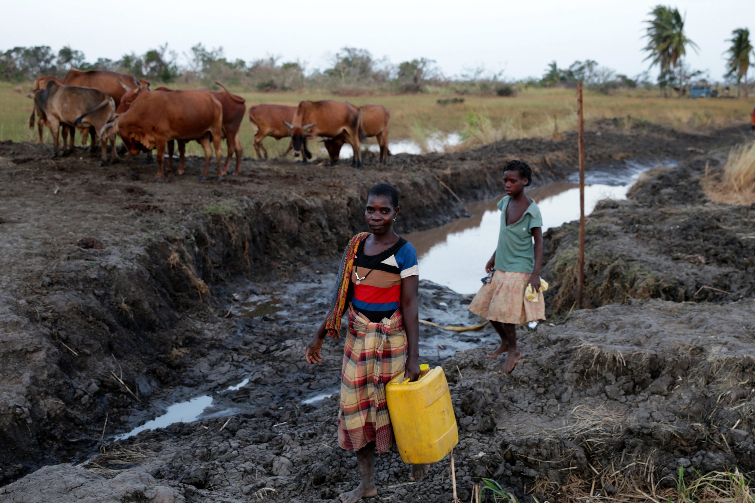 Idai: Oeiras aprova apoios de 20 mil euros para Moçambique e cria conta solidária