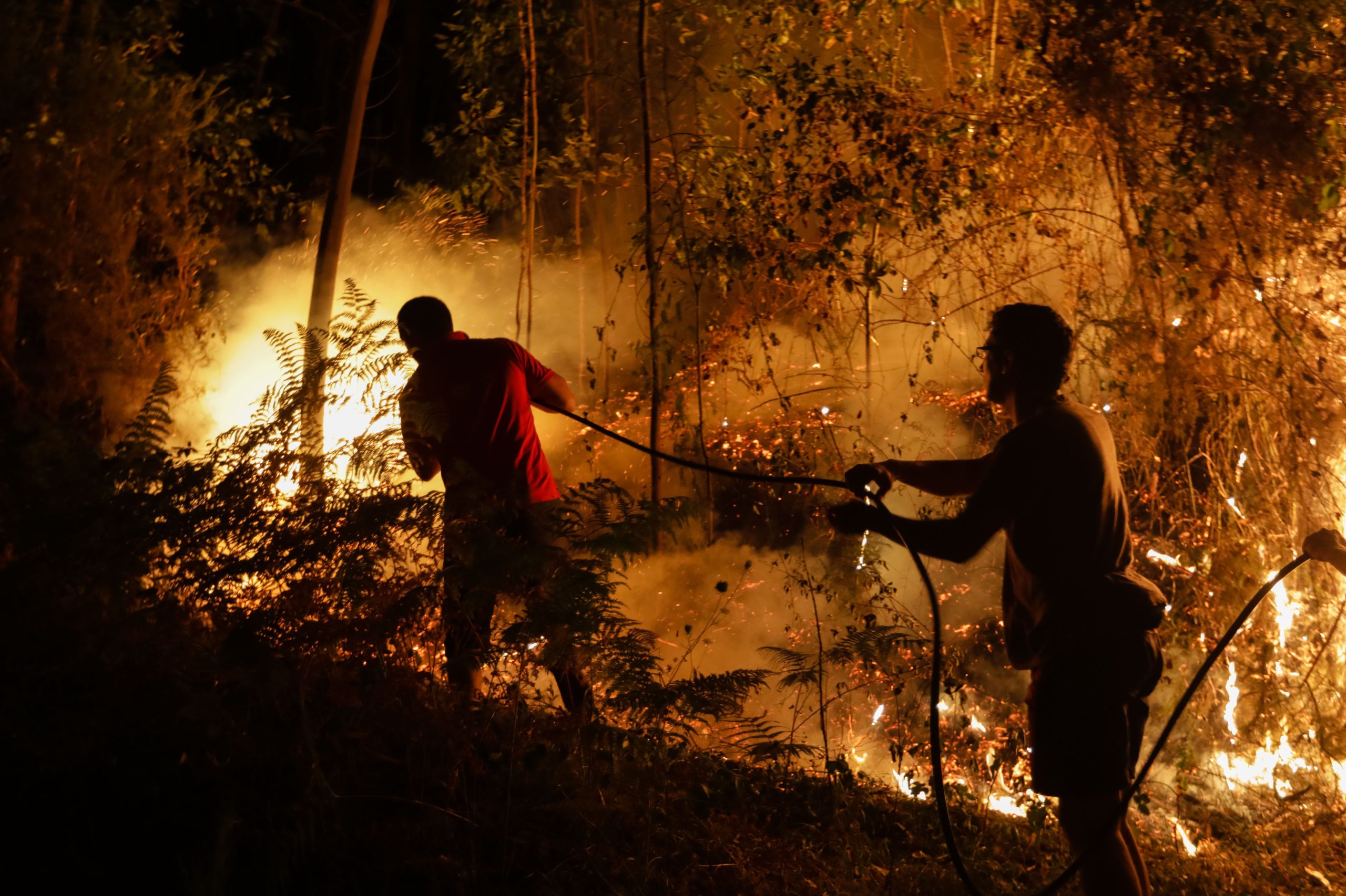 Associação de vítimas dos incêndios mandatada para avançar judicialmente contra o Estado