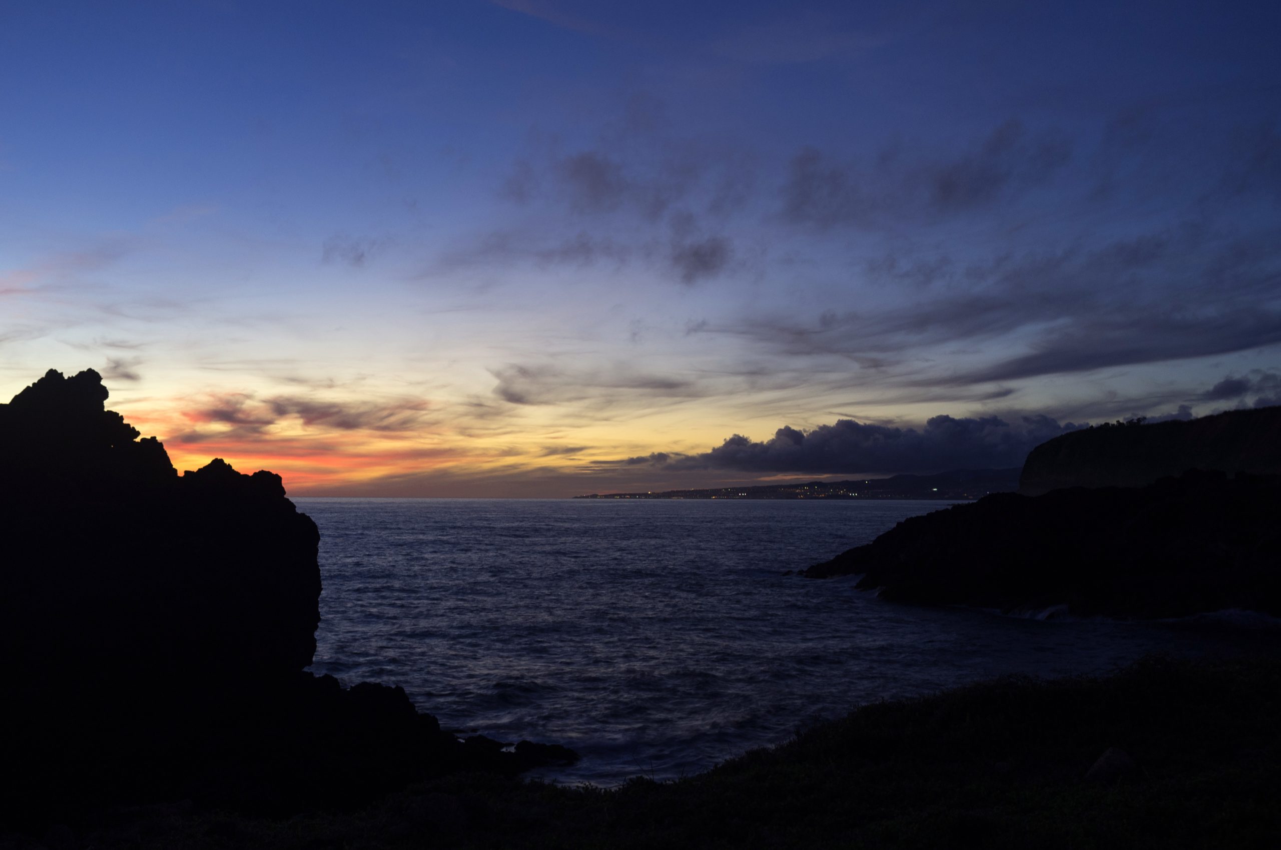 Cientistas descobrem floresta de corais negros no mar dos Açores