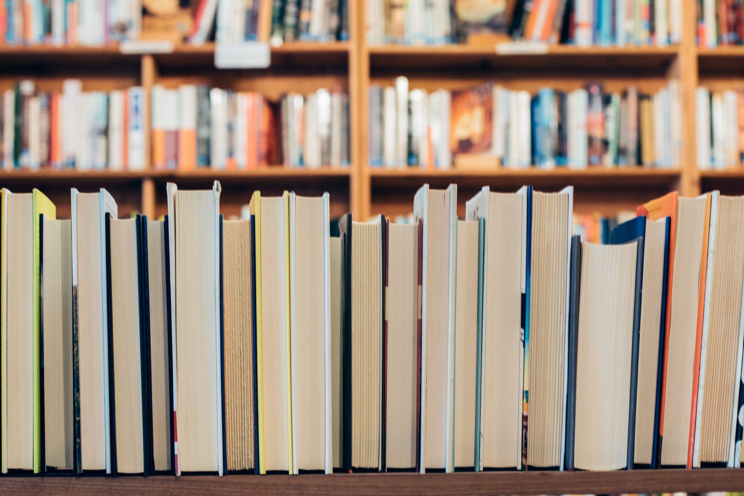 Fim da leitura nas escolas? Afinal o que se passa com o Plano Nacional de Leitura e com a Rede de Bibliotecas Escolares