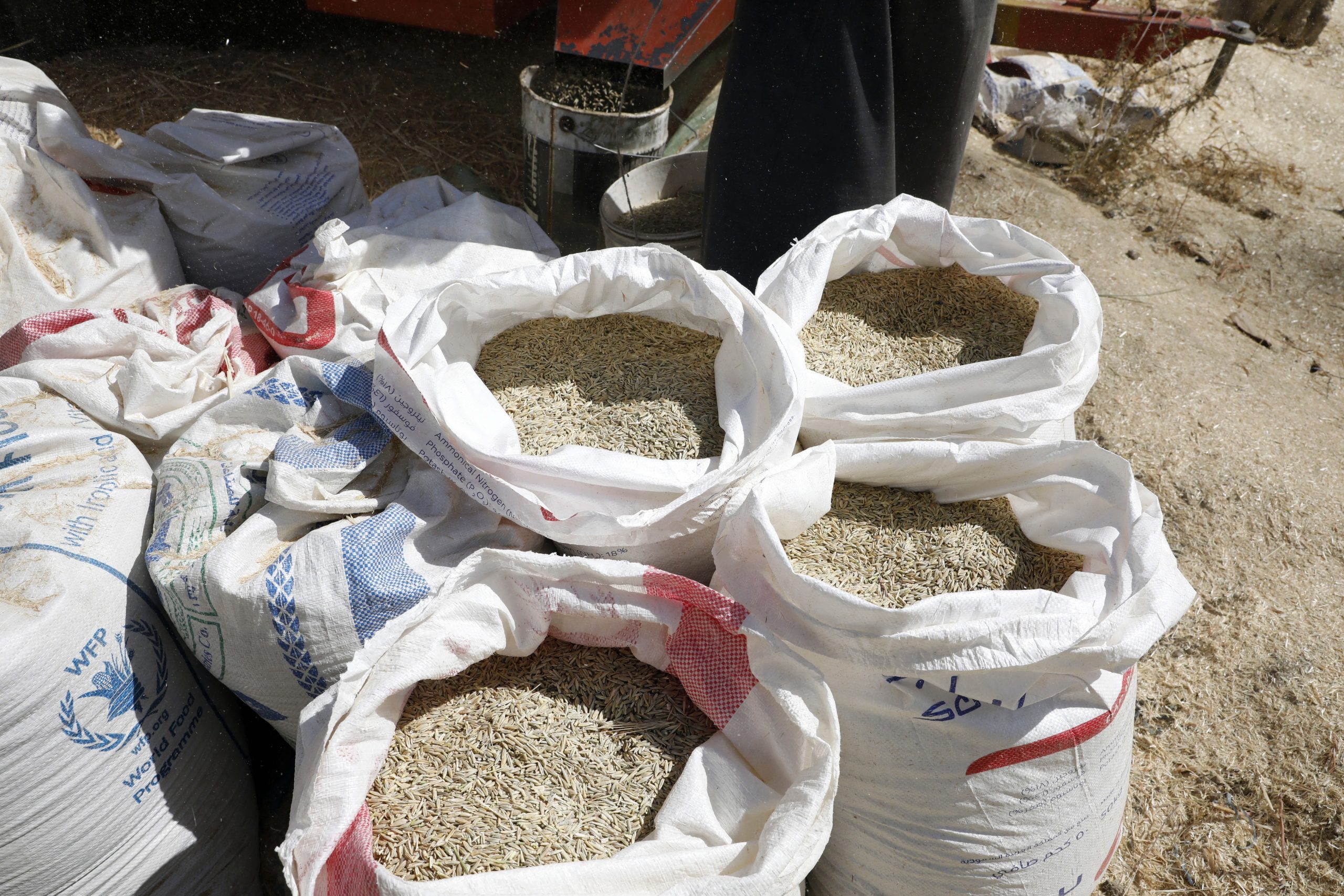 Preços dos alimentos atingem níveis recorde em 2022