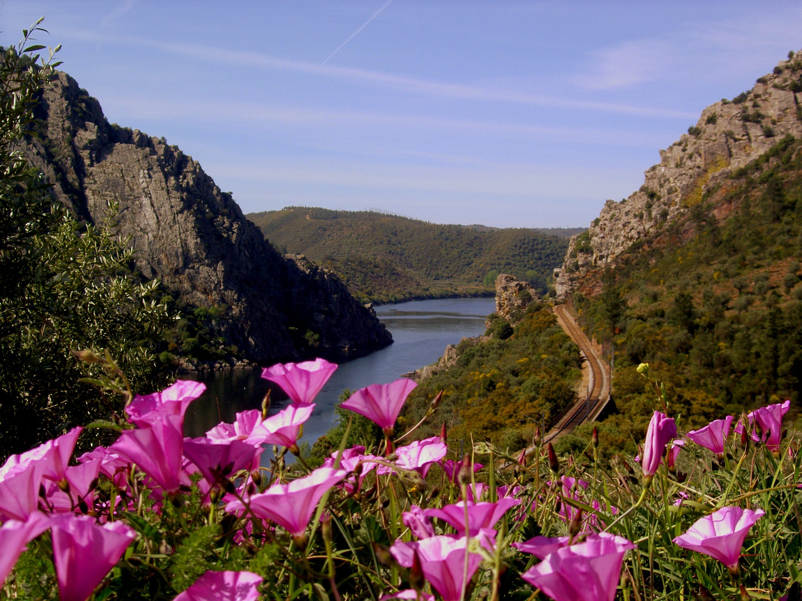 Associação Geopark desenvolve projeto de valorização de rios e ribeiras da Serra da Estrela
