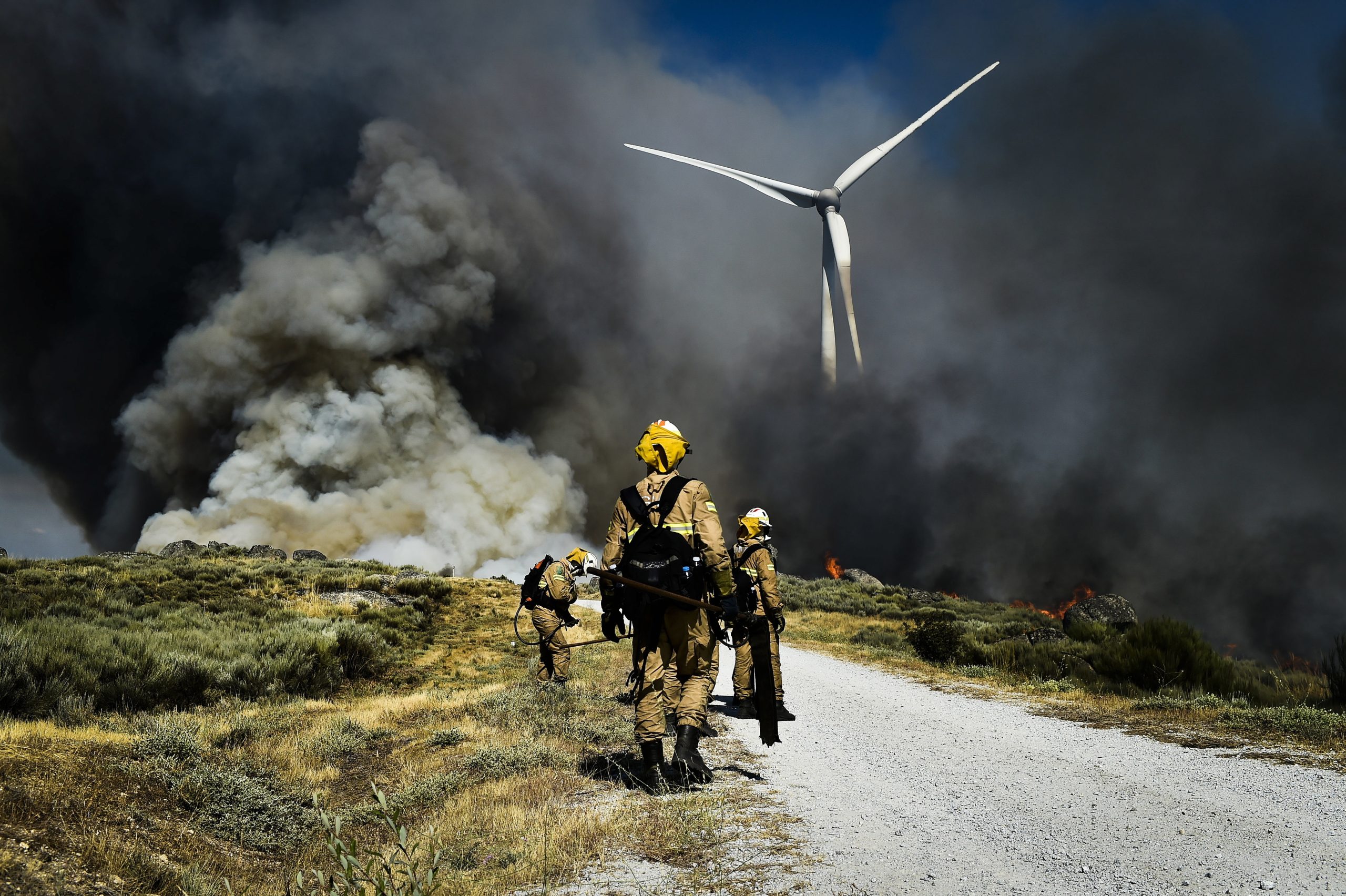 Incêndios: Guarda pede vigilância apertada aos reacendimentos e urgência na recuperação da serra