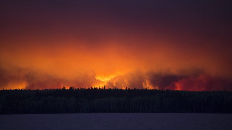 Incêndios: Chamas voltaram a alastrar e ameaçam várias casas em Alvaiázere