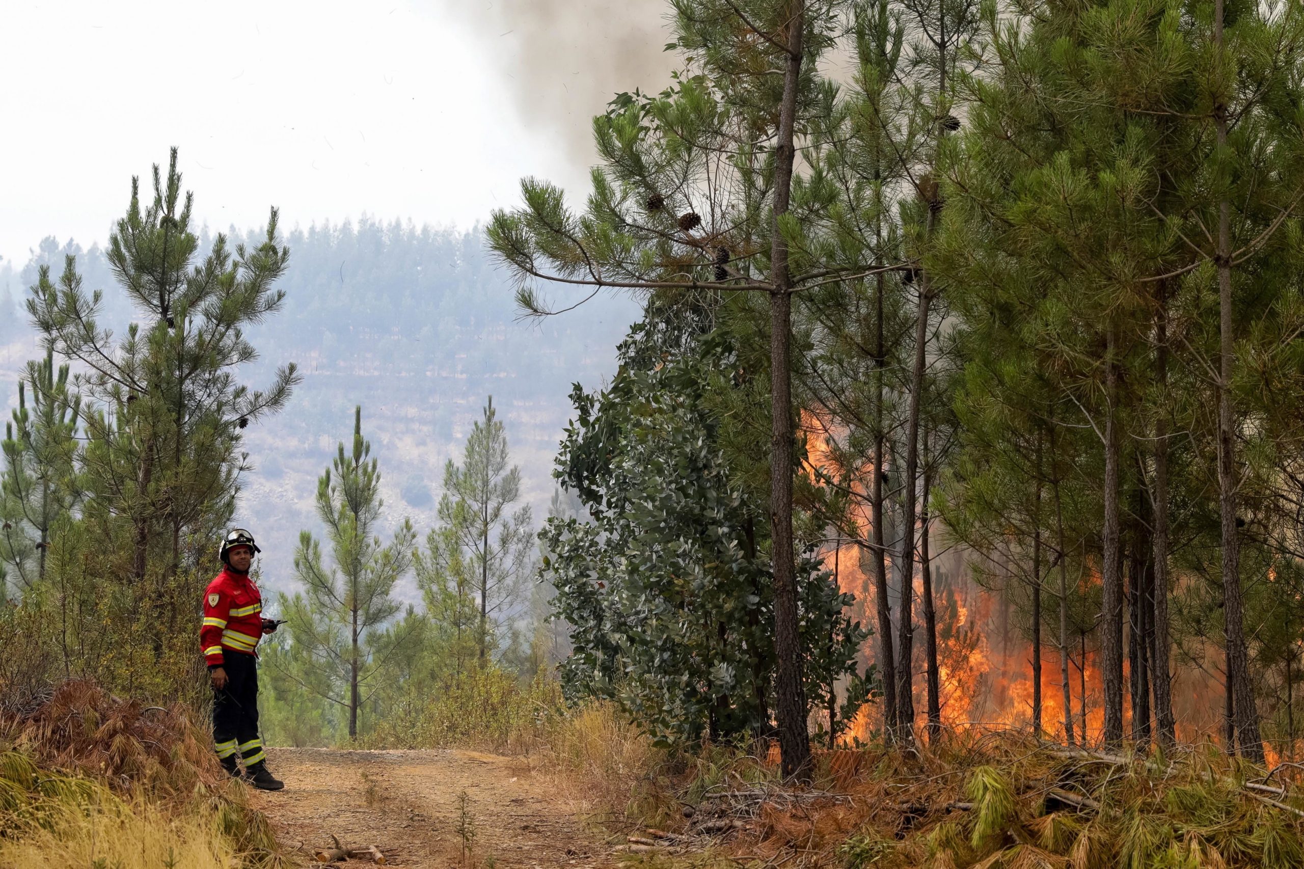 Incêndios: CDS questiona recurso do Governo sobre apoios europeus a Mação