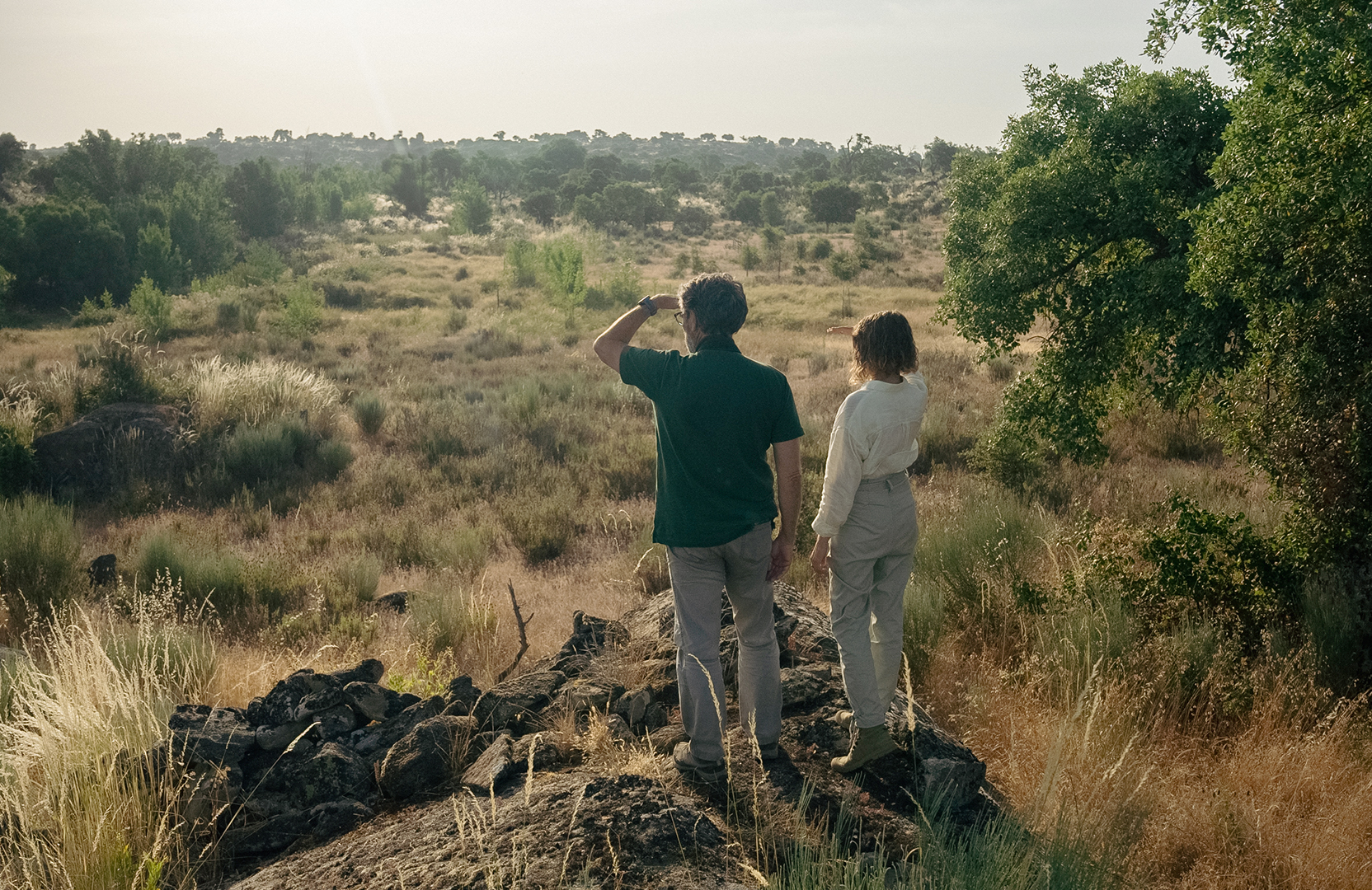 Campanha de crowdfunding quer transformar Vale do Côa num santuário florestal artístico