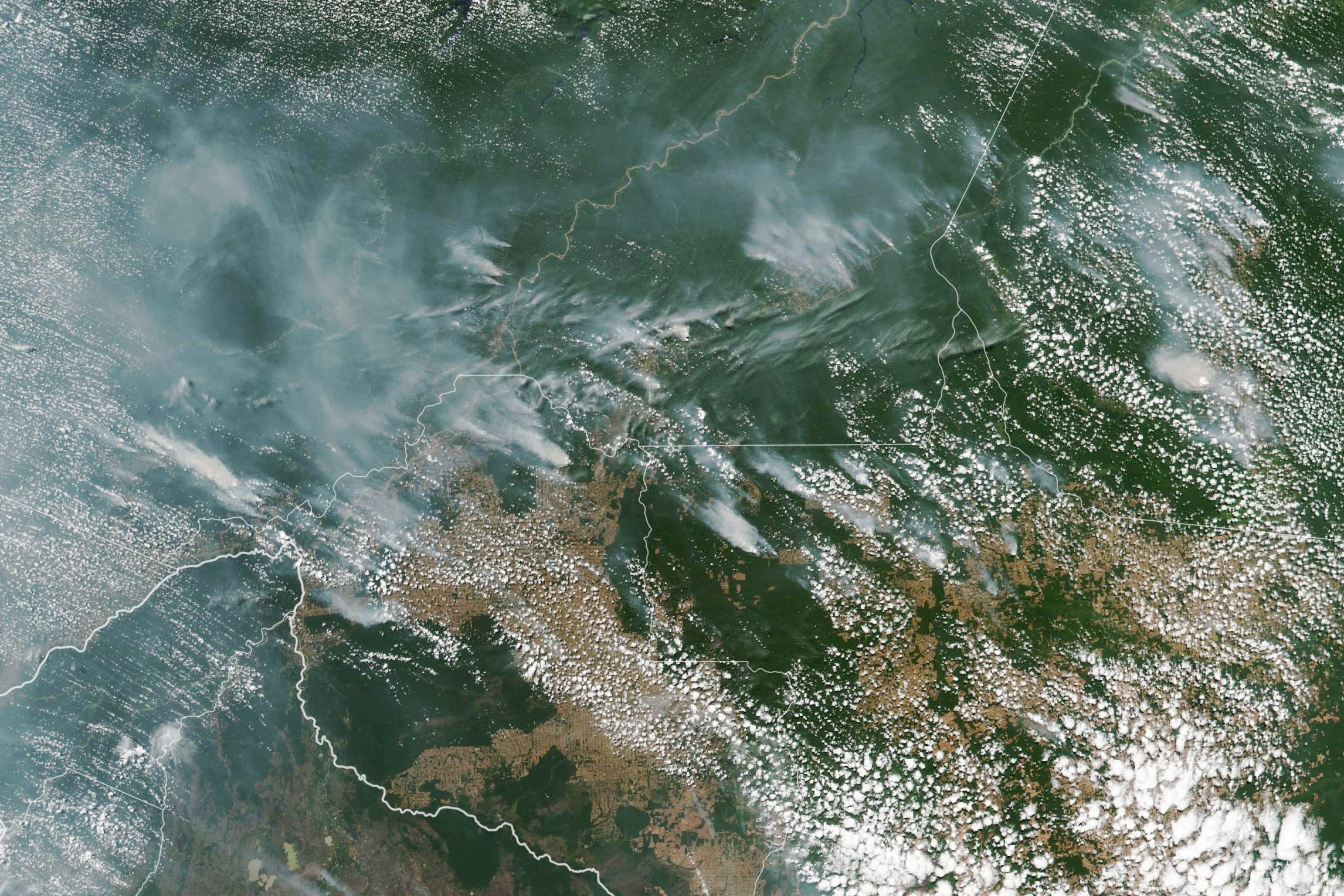 Mais de metade dos fogos no Brasil estão a acontecer na Amazónia. O que se passa no pulmão do mundo?