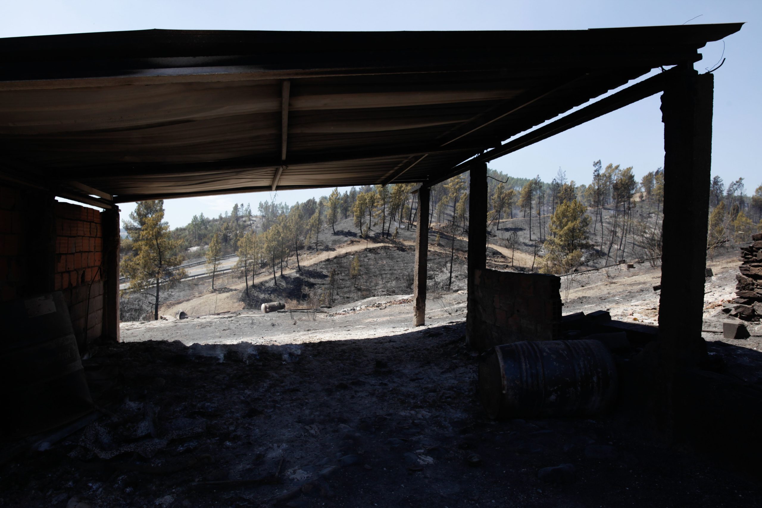 Incêndios: Mação aprova IMI abaixo do mínimo nacional
