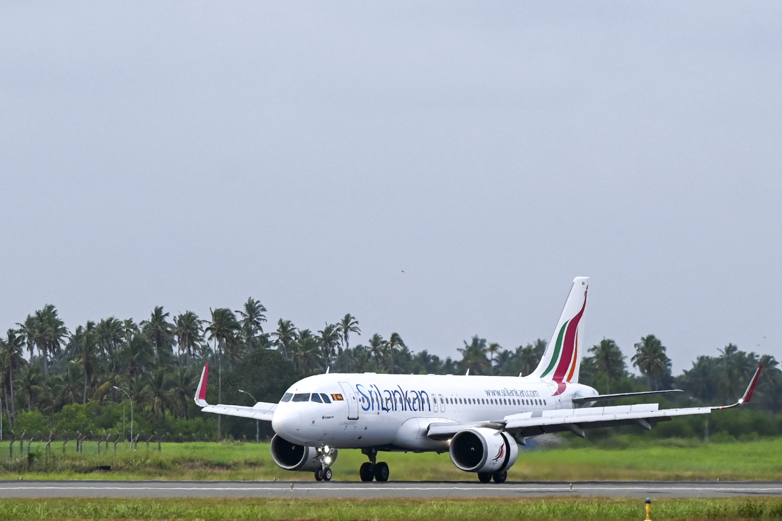 Rato deixa Airbus da SriLankan Airlines no solo por três dias — e não foi por questões de higiene