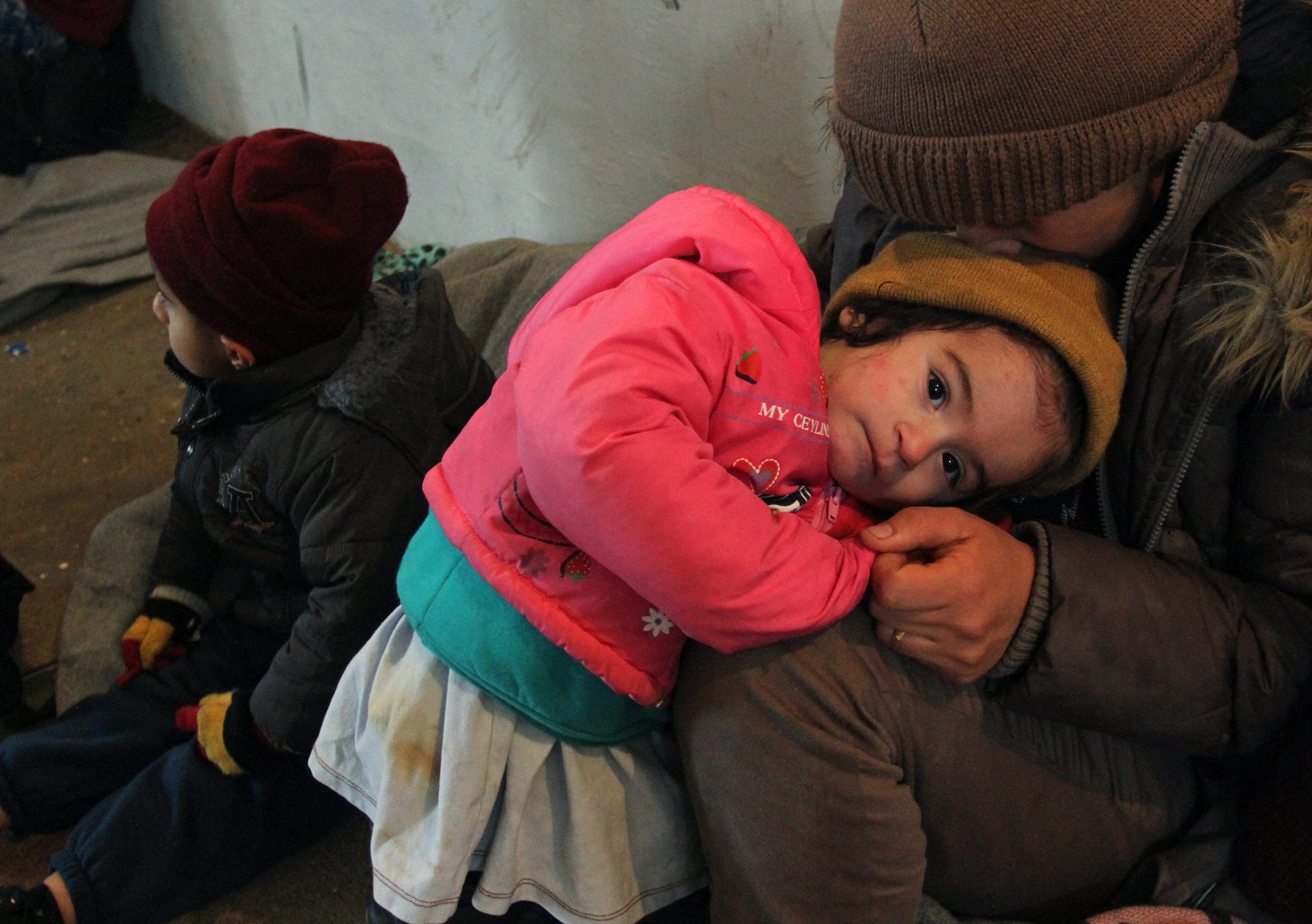 Vinte detidos por tráfico de refugiados da Turquia para União Europeia em iates de luxo