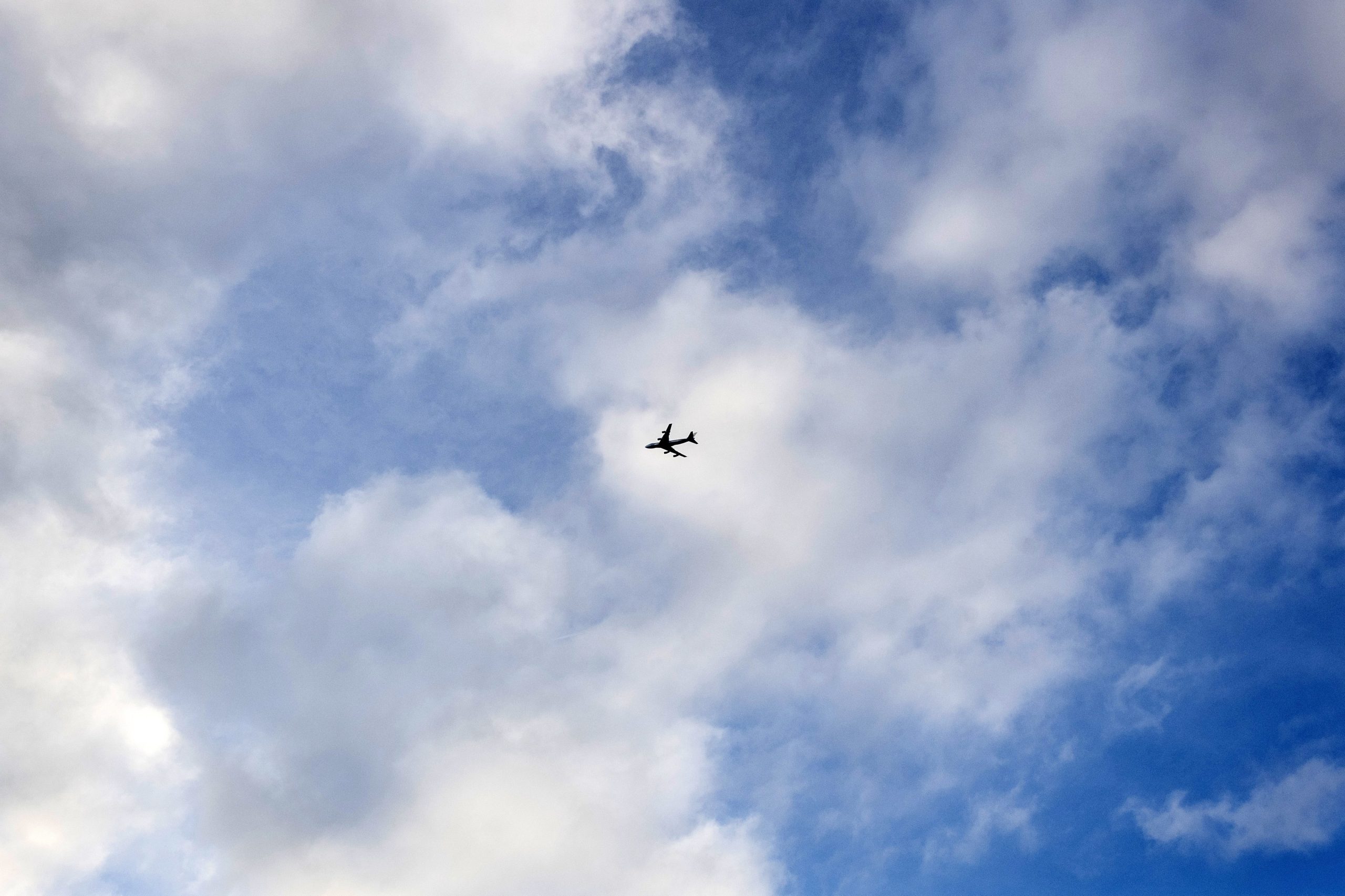 Companhias aéreas pedem melhor coordenação de abertura de fronteiras na UE
