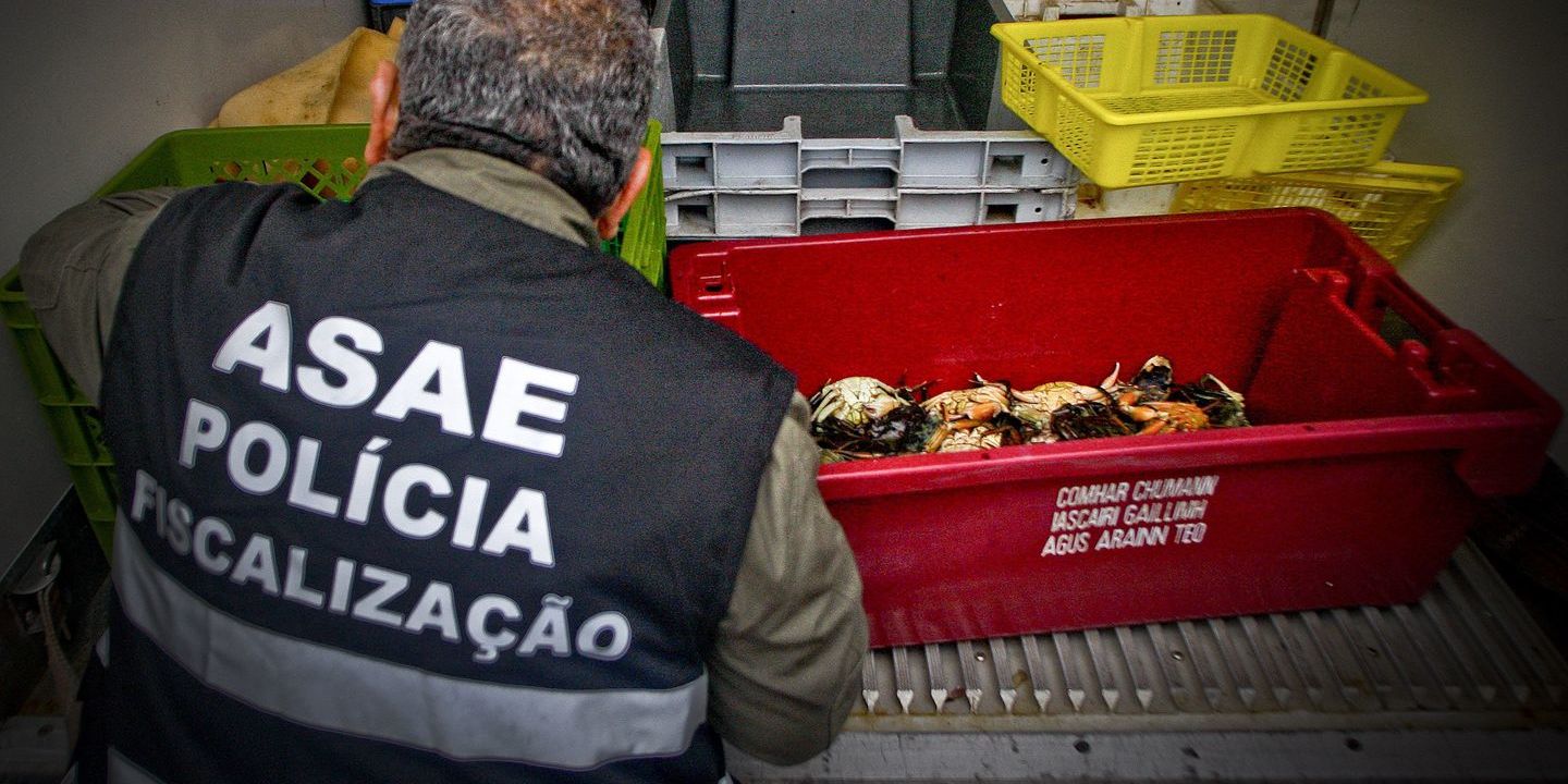 ASAE apreende 1,2 toneladas de alimentos e suspende atividade de 6 estabelecimentos