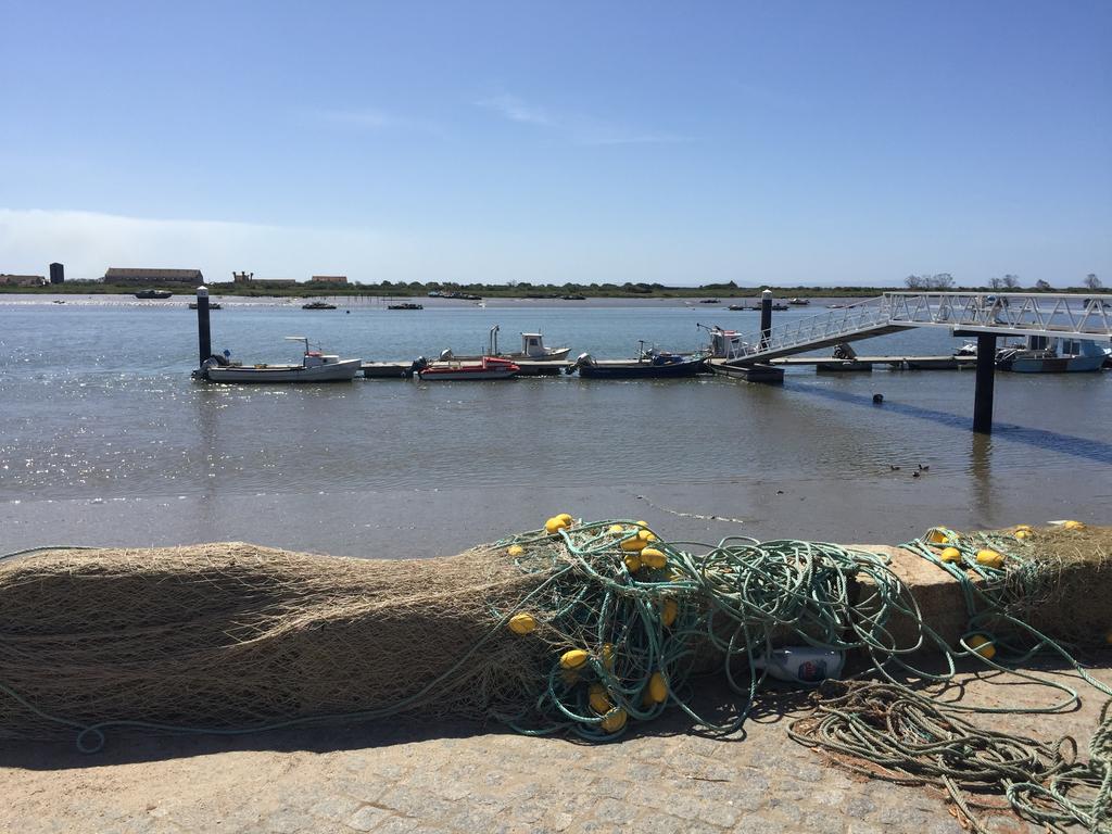 Poluição e seca estão a destruir a pesca no rio Tejo. No sábado, protesto chega a Lisboa