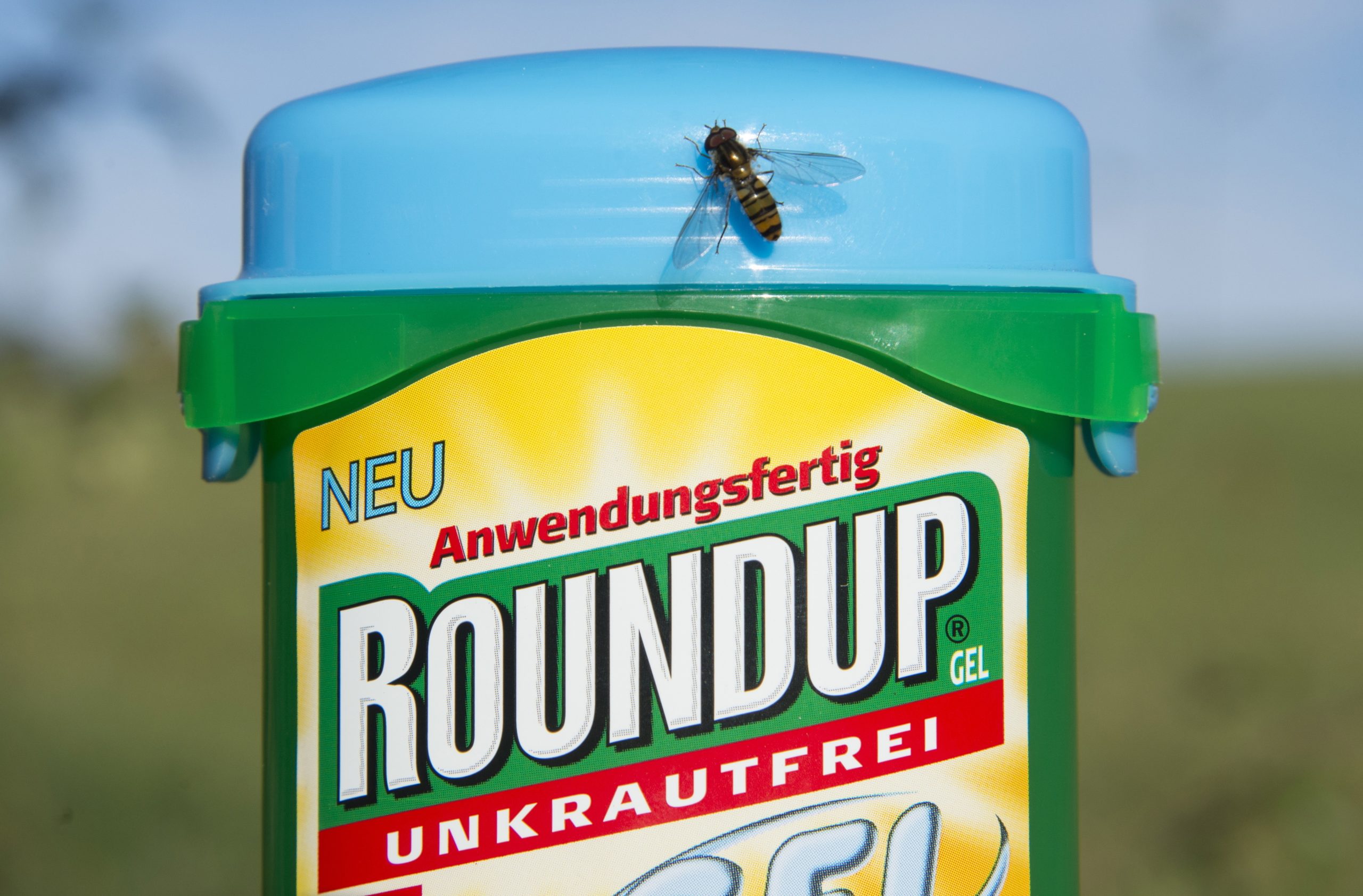Monsanto vai pagar indemnização de 81 milhões de dólares por cancro ligado ao Roundup