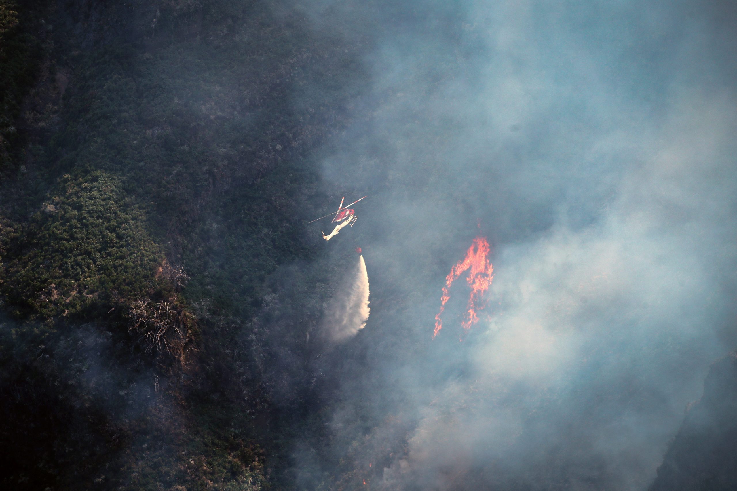Madeira: Cruz Vermelha enviou 280 kg de material de apoio