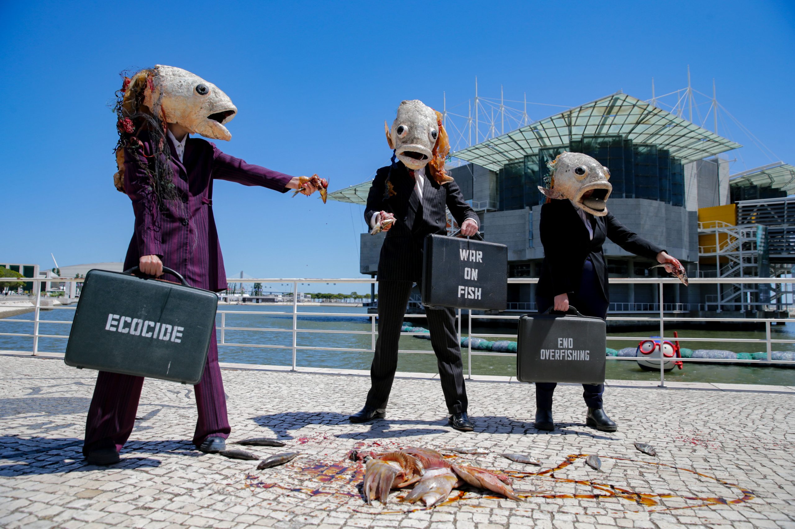 Movimento inglês Ocean Rebellion alerta que “o mar está a morrer” e pede reunião com Governo português