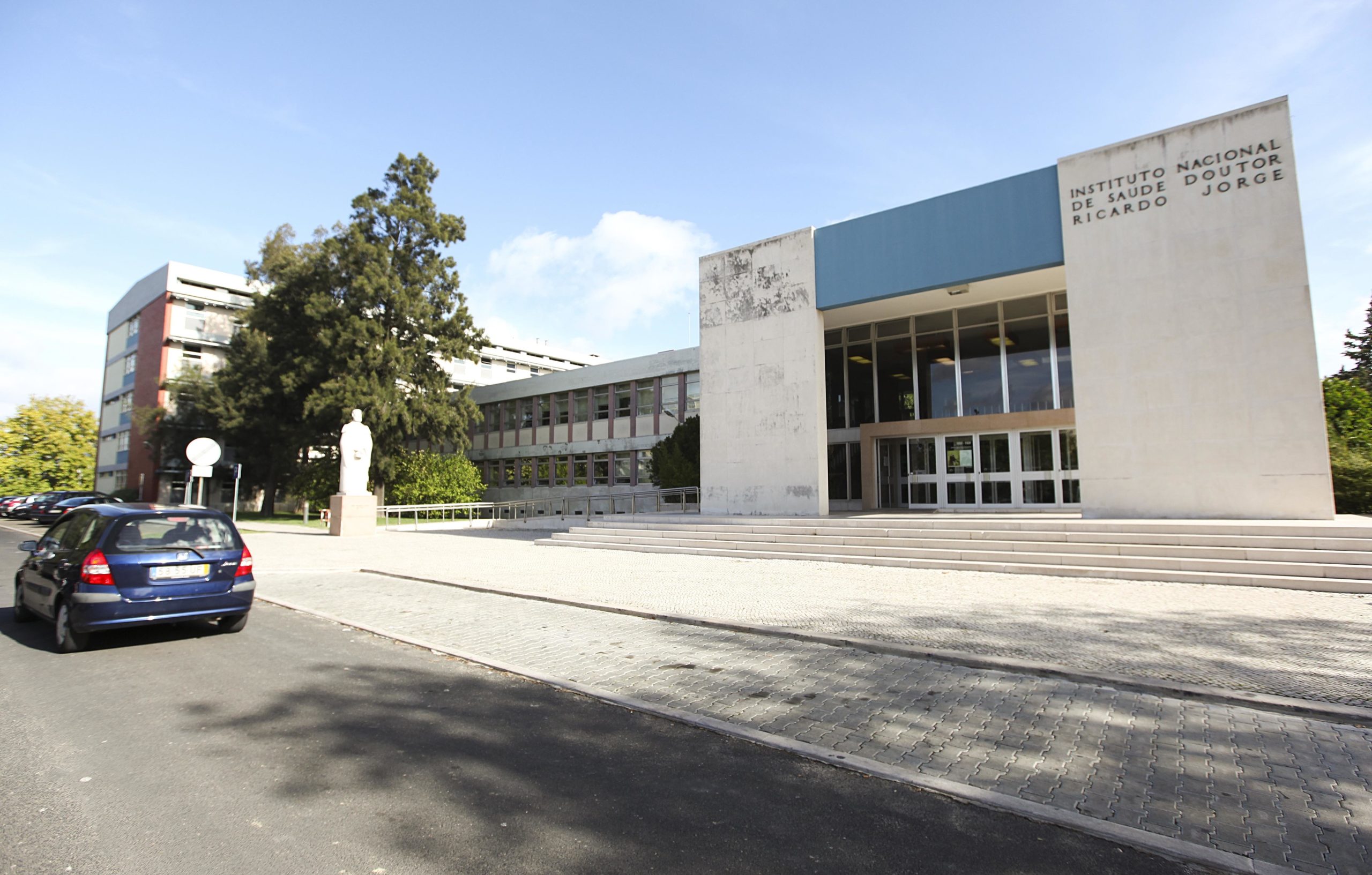 Instituto Dr. Ricardo Jorge aponta quatro picos de mortalidade no país em 2020