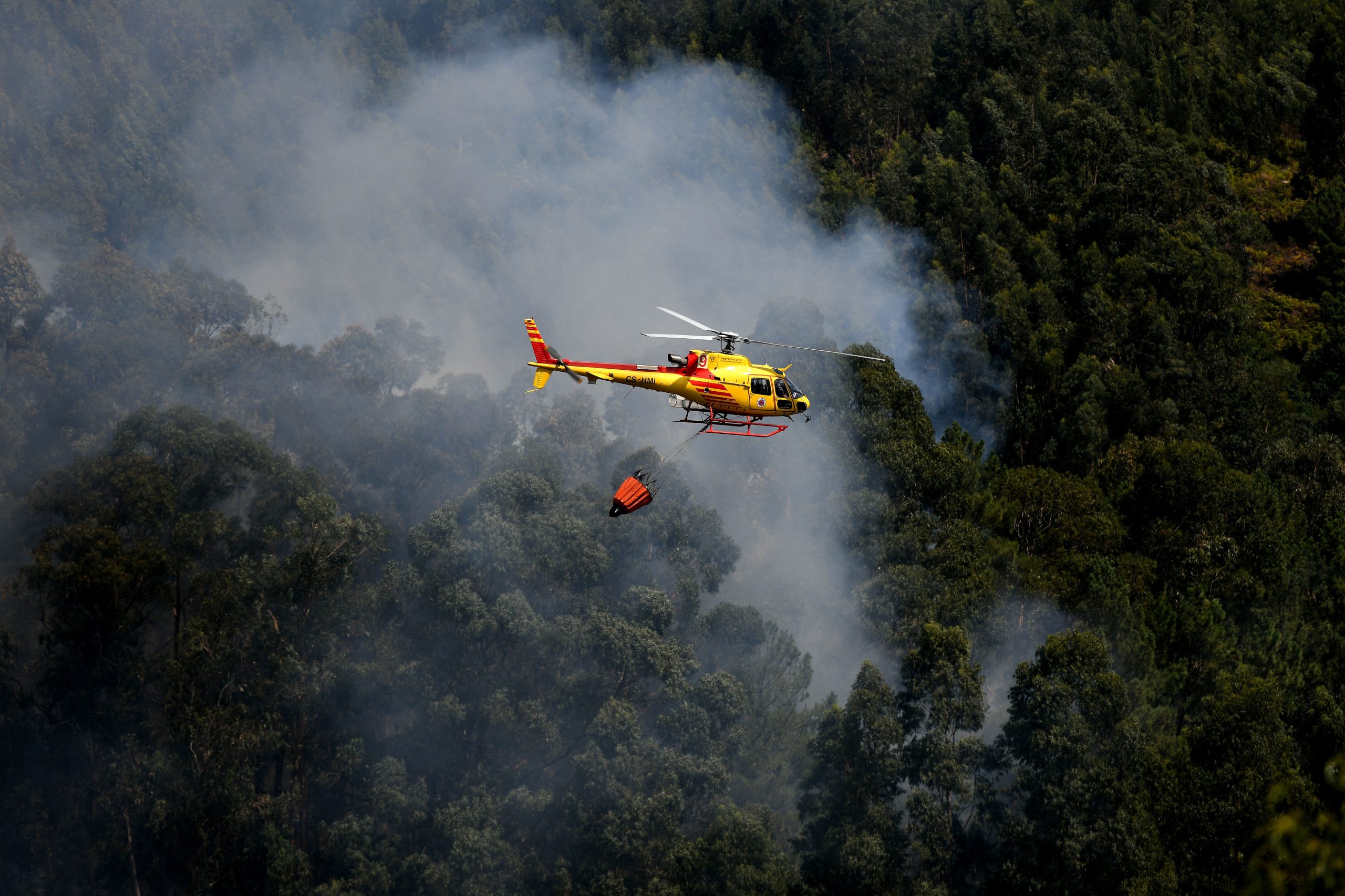 Incêndios: Substituído helicóptero de Évora após incidente com paraquedista