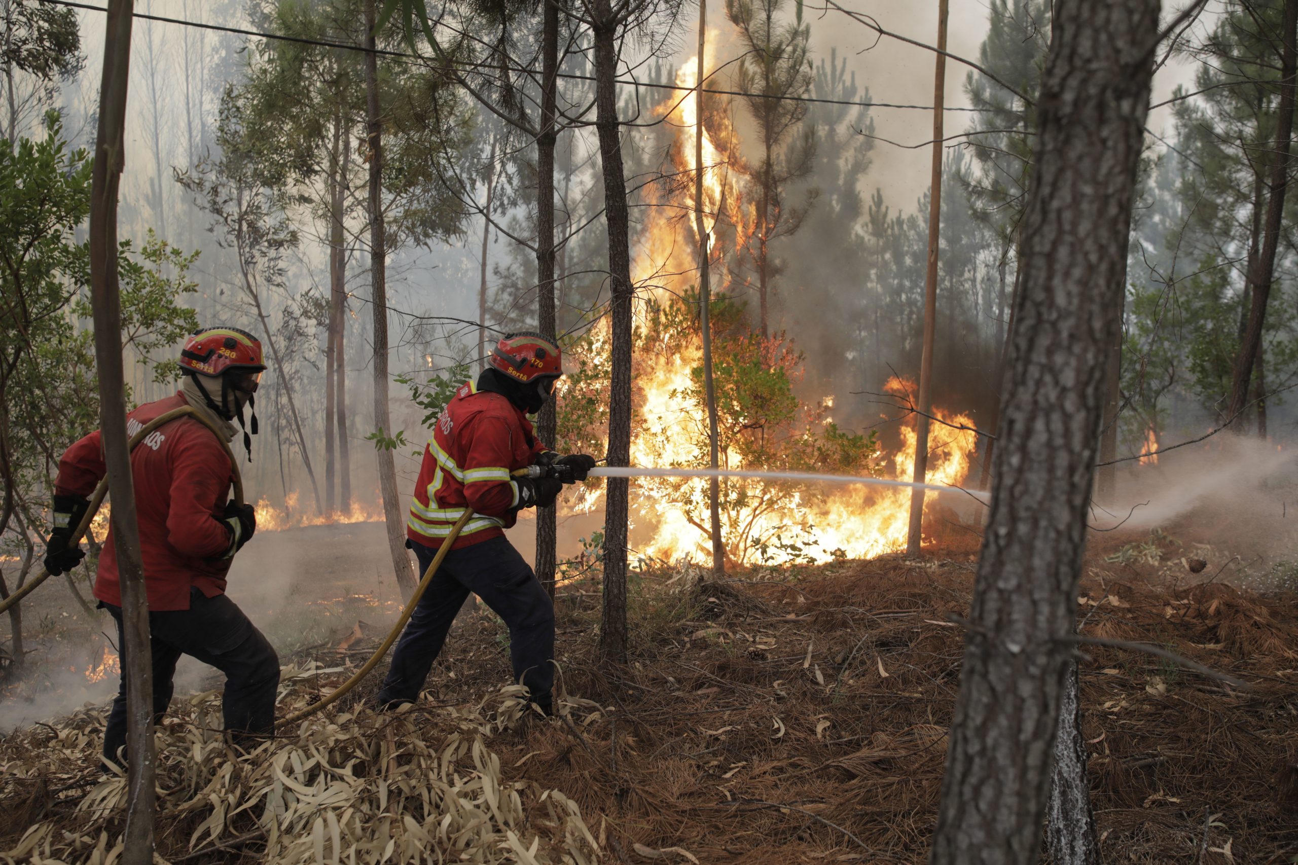 Fogo na Sertã em “fase de resolução”