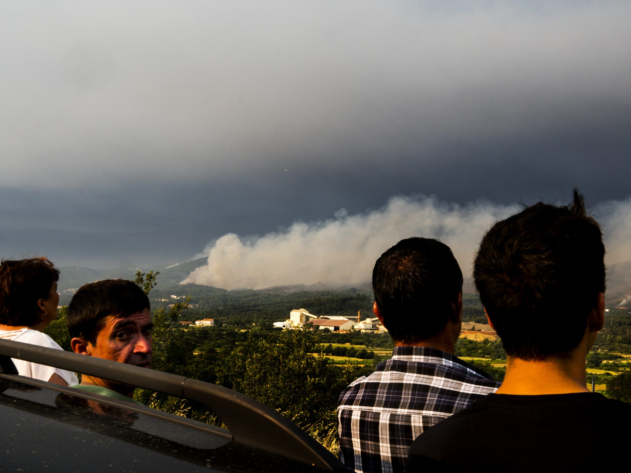 Incêndios: Assembleia da República aprova urgência no apoio a vítimas e familiares
