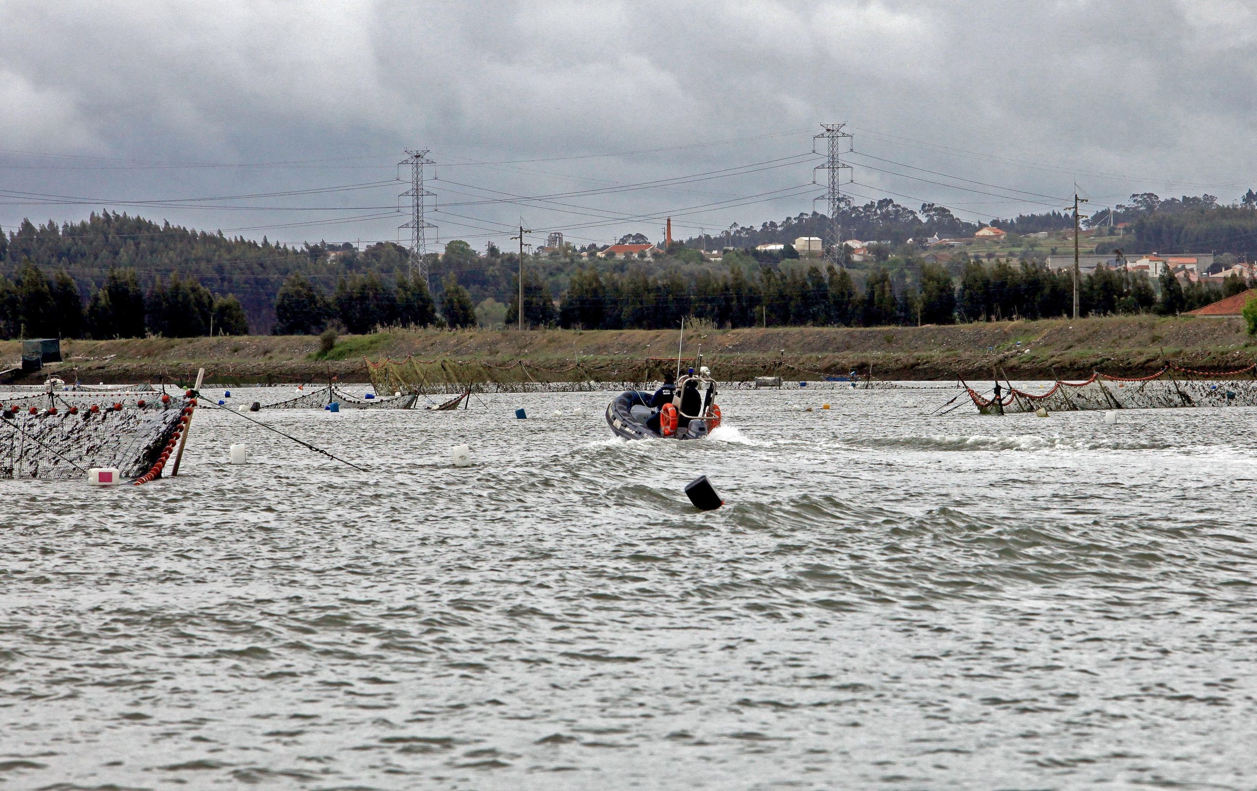 A safra da lampreia já começou. No Alto Minho, os pescadores começam a ver um bom ano