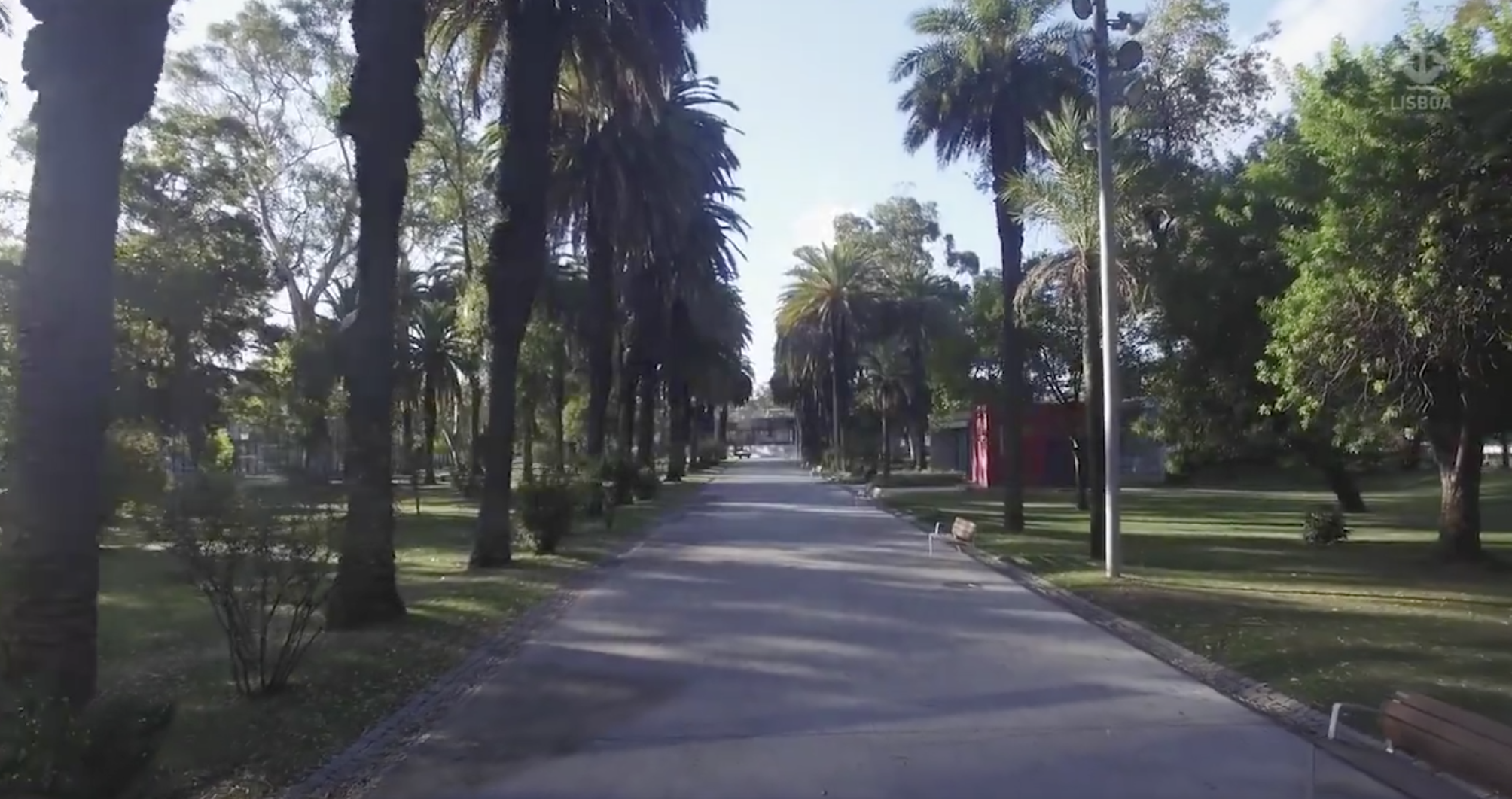 Jardim lisboeta do Campo Grande será inaugurado no dia 25 de abril