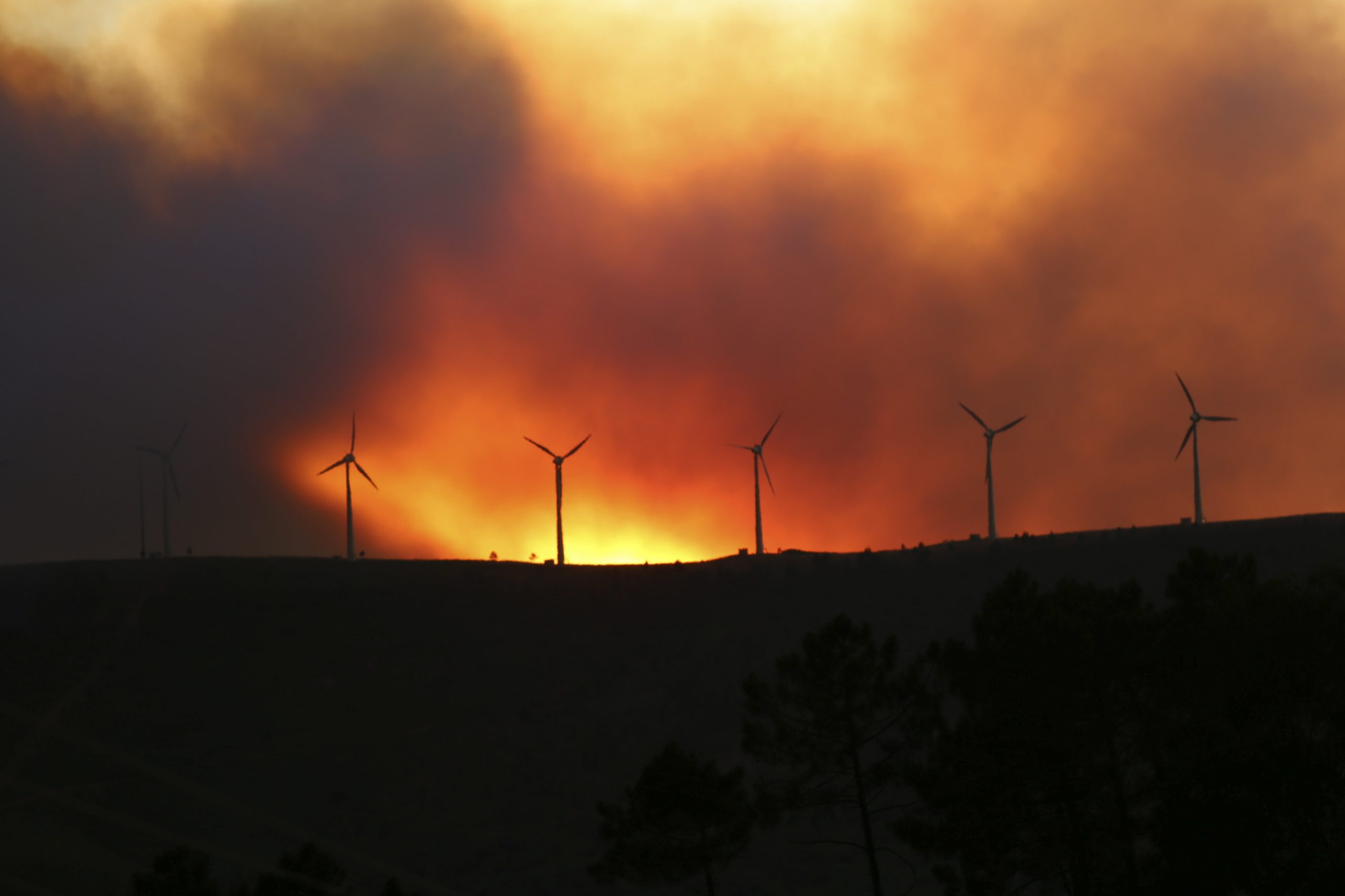 Incêndios: Fogo de Oleiros está a ser combatido por 744 operacionais e já atingiu habitações e ameaça aldeias