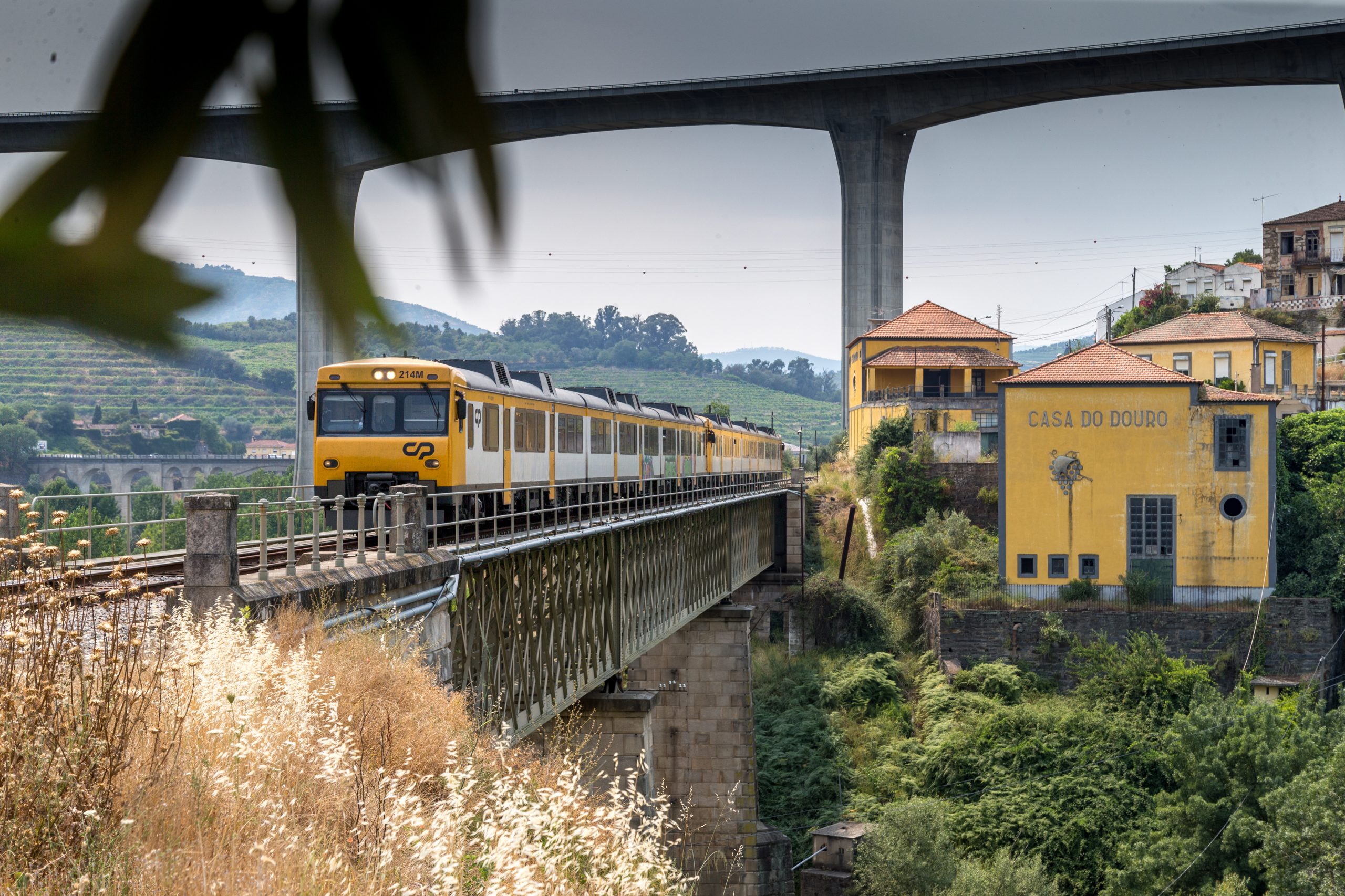 IP aplica mais de 900 mil euros para estabilizar taludes na linha do Douro
